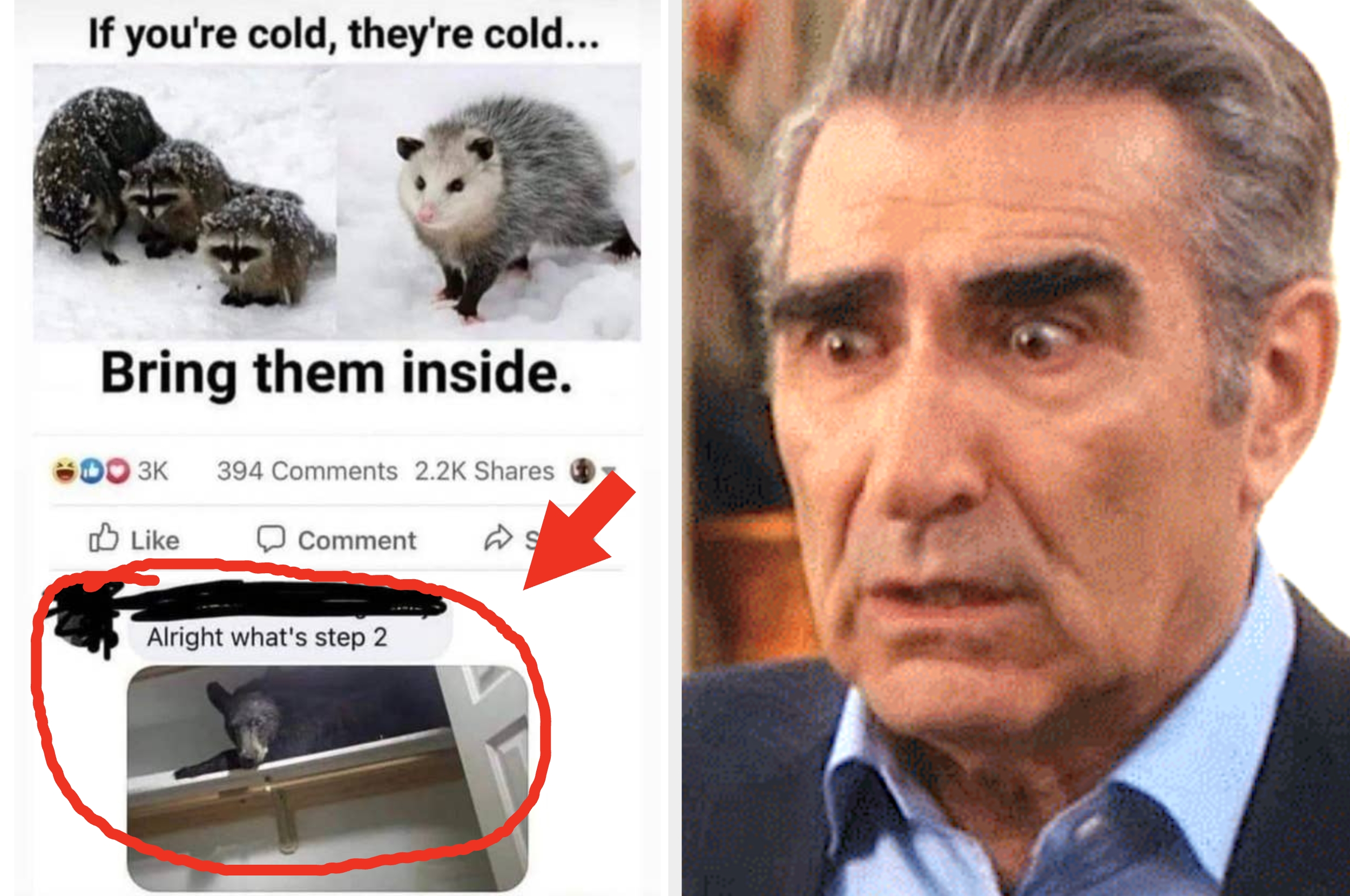 Opposum meme with a Facebook post. First image: Animals in cold, text says to bring them inside. Second: Opossum inside, user asks for step two