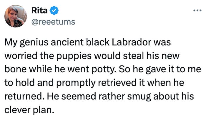 Tweet tentang seekor Labrador hitam yang memberikan tulang kepada pemiliknya sebelum ke kamar mandi untuk mencegah anak anjing mengambilnya, terlihat sombong setelahnya