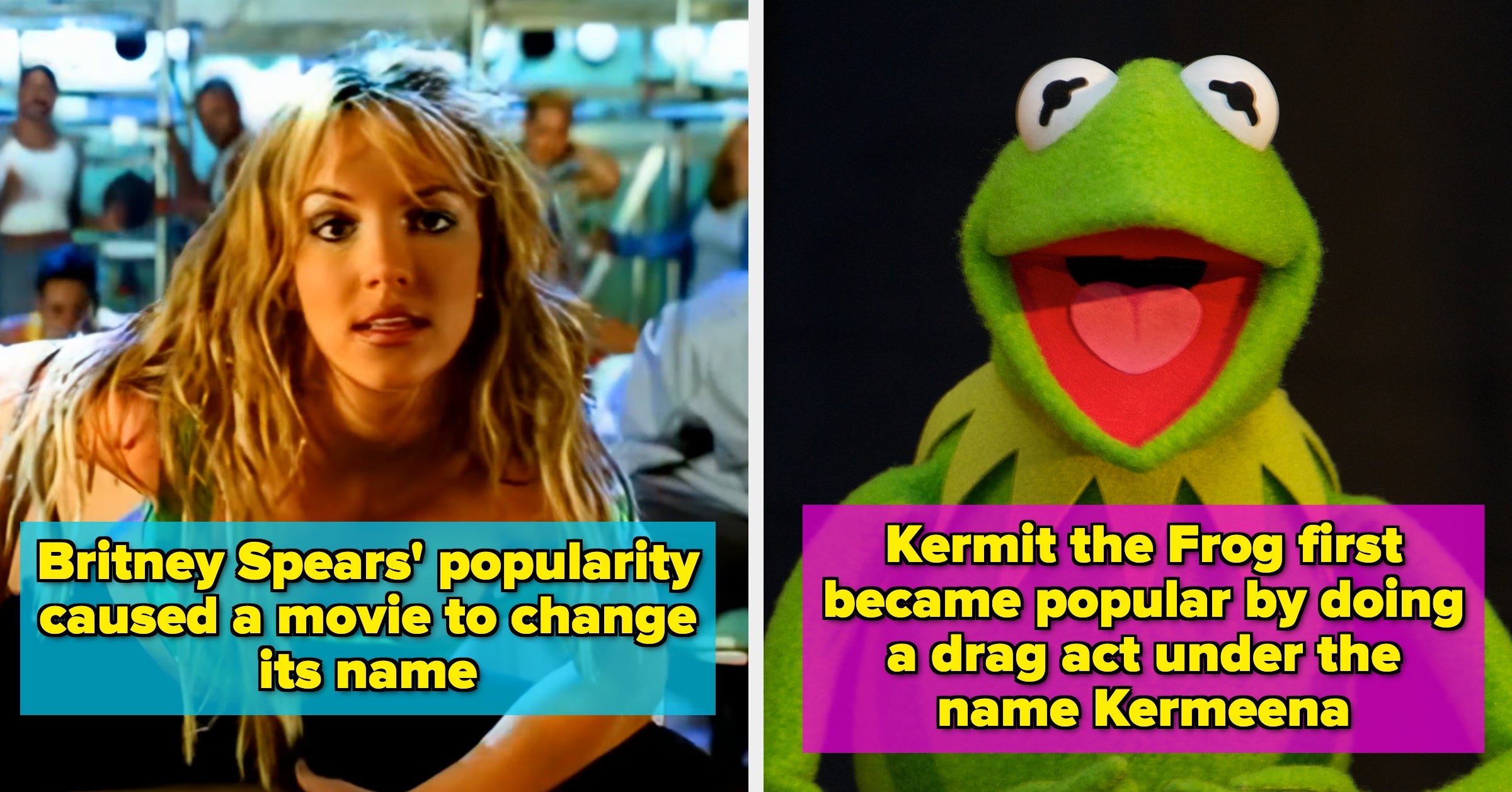 12 Mind-Blowing Facts That Sound Totally Made Up By The Internet (But Aren't) That I Just Learned This Week