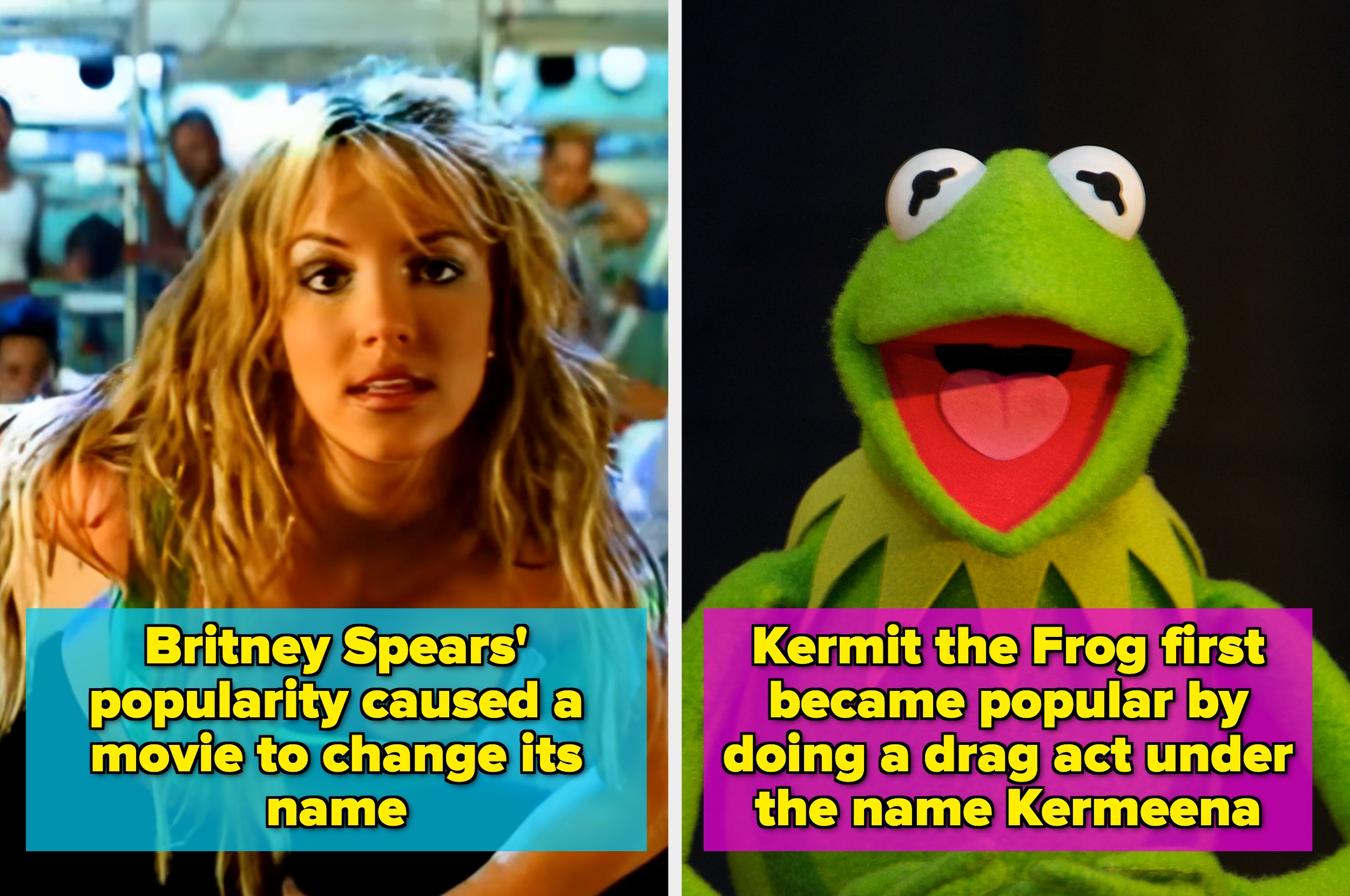 Split image: Left photo of a pop singer. Right photo of a famous green puppet. Captions discuss name changes due to popularity