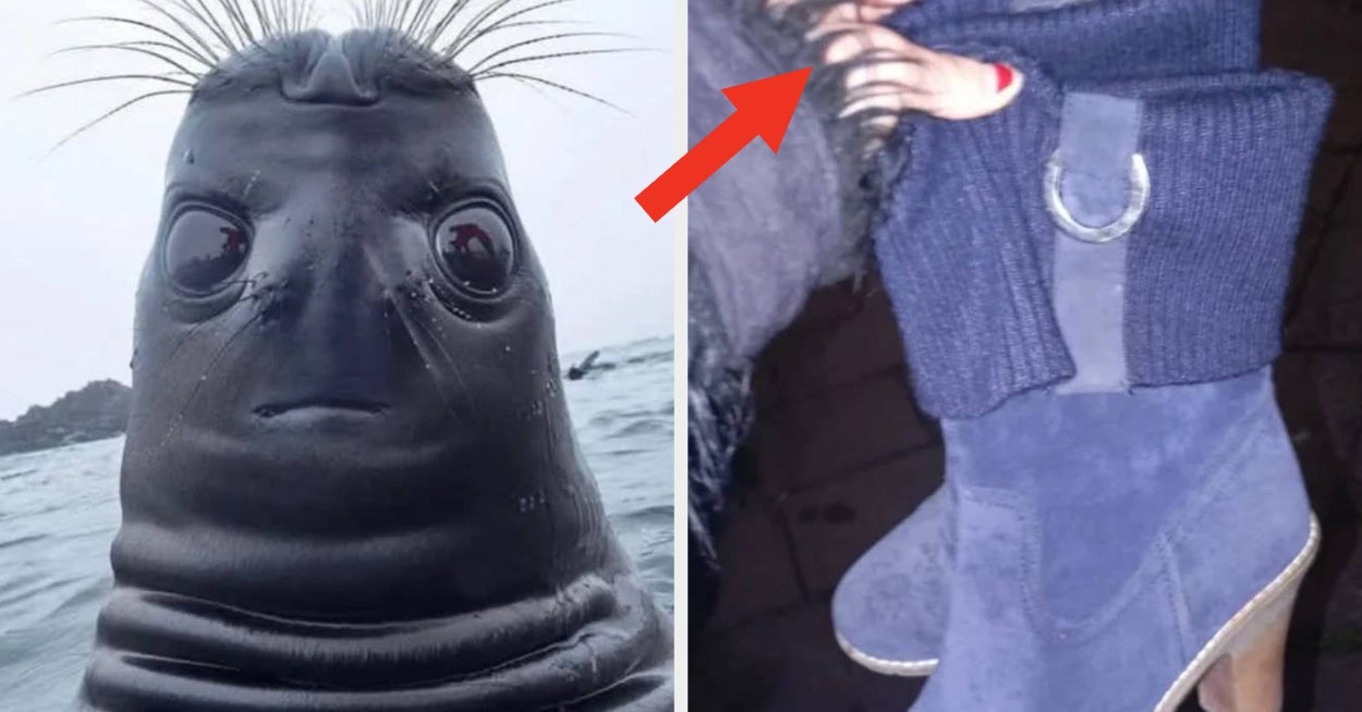 15 Photos That Will Make Your Eye Twitch, And Your Brain Melt Into A Puddle Of Pure Frustration