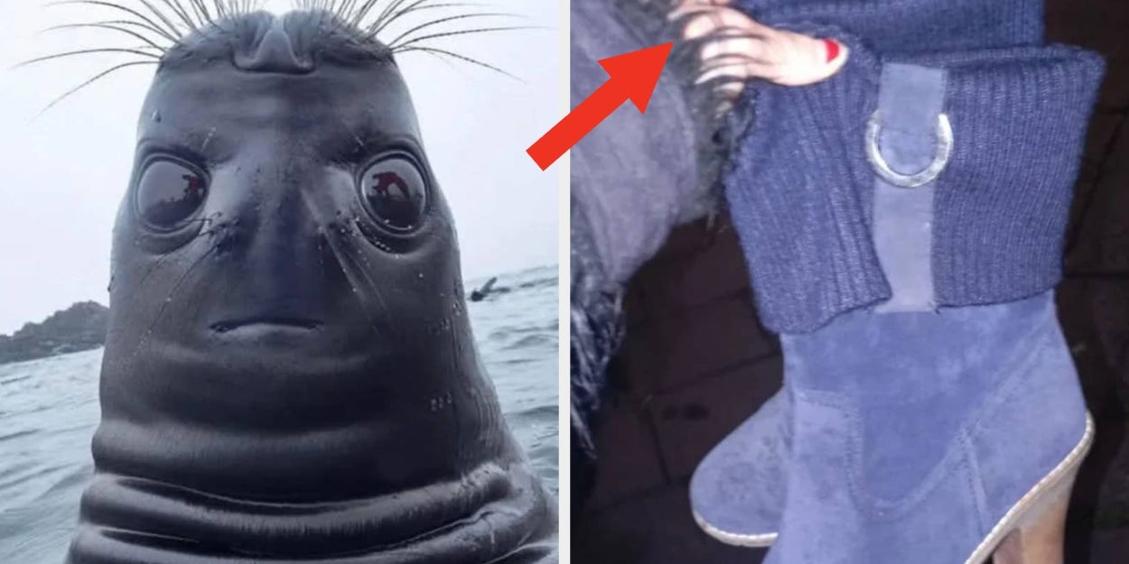 17 photos that will test your patience and make you question humanity's intelligence (I almost threw my phone at #4)