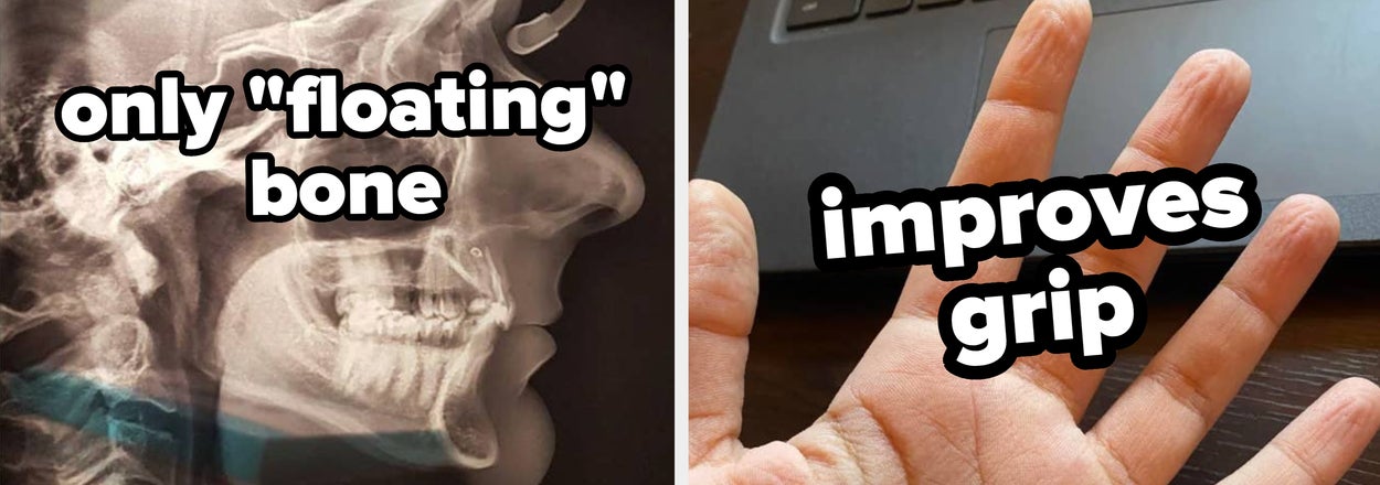 22 Interesting, Shocking, Or Bizarre Facts About The Human Body That I'm Still Trying To Wrap My Head Around