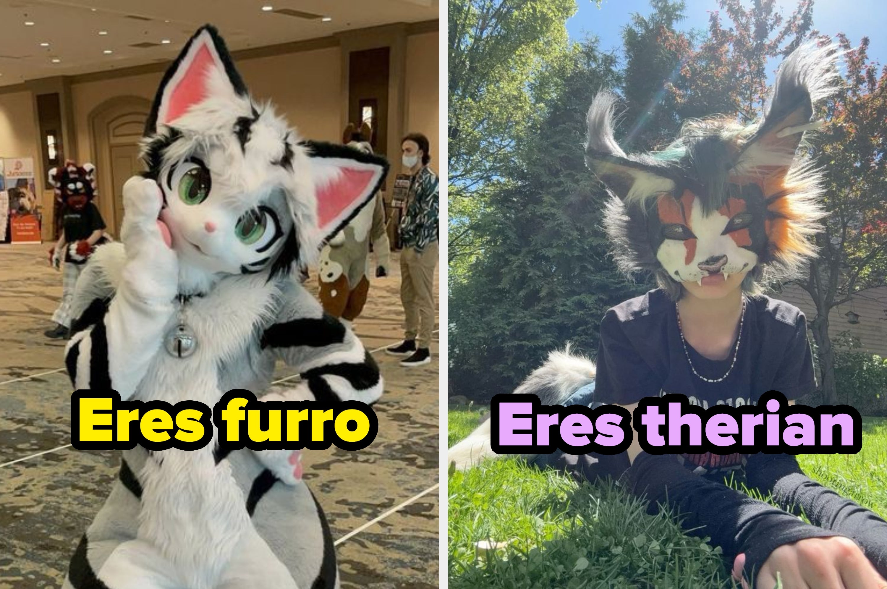 Izquierda: Persona en disfraz de gato estilo caricatura con texto "Eres furro". Derecha: Persona con máscara animal realista sentada en césped con texto "Eres thérián"