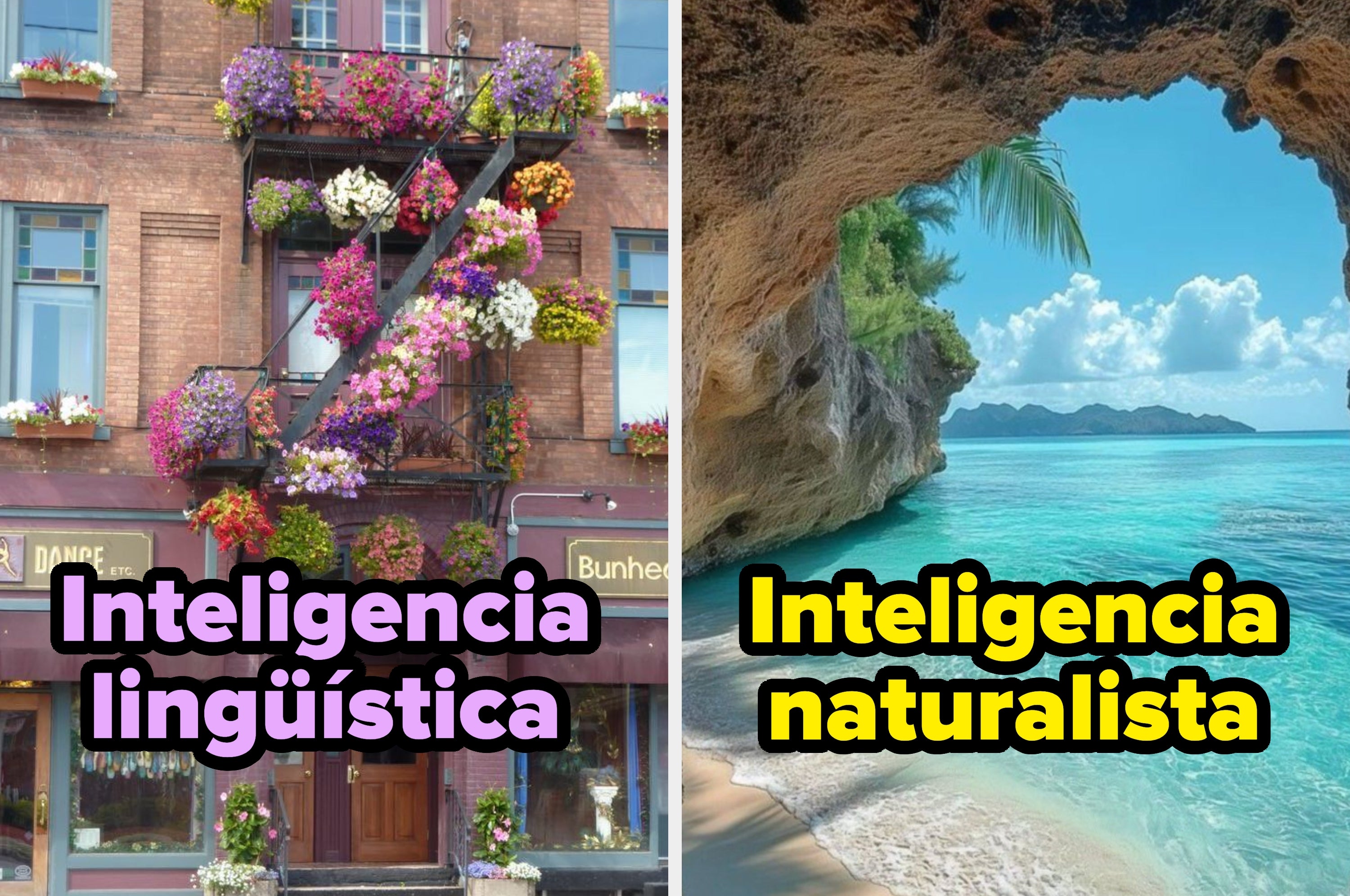 Edificio con macetas en una escalera de incendio muestra "Inteligencia lingüística"; texto en fondo blanco dice "Inteligencia interpersonal"