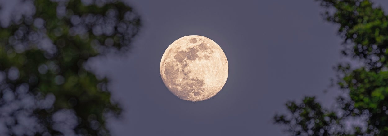 7 Celestial Events In 2026 That Are Actually Perfect Excuses For A Mental Health Day (Because The Universe Said So)