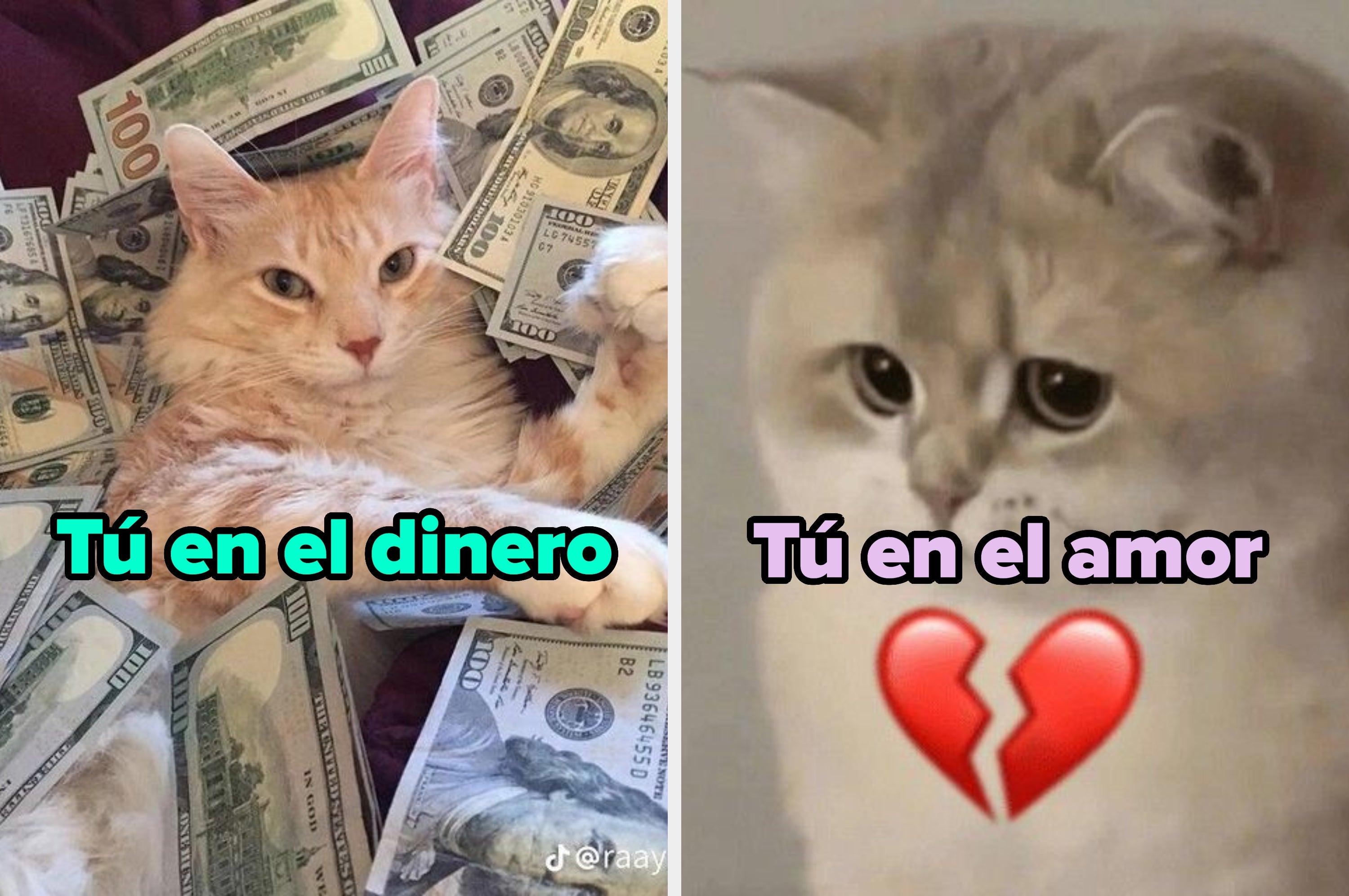 A la izquierda, un personaje con exámenes perfectos; a la derecha, un personaje desarreglado sosteniendo una tetera. Texto: "Tú en la escuela" y "Tú en el amor"