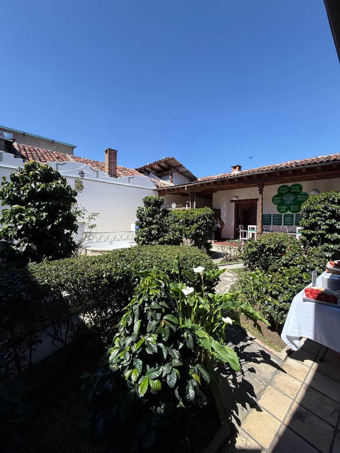 Patio con plantas y arbustos, mesa con comida a la derecha. Interior de una casa con techos de teja. Cielo despejado