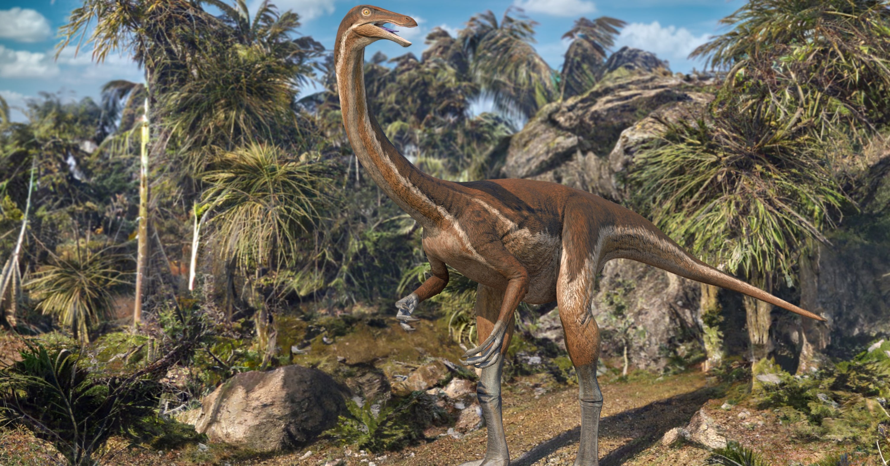 Answer These 10 Quick Questions To Find Out Which Chapter Of Earth's 4.5-Billion-Year History Matches Your Soul