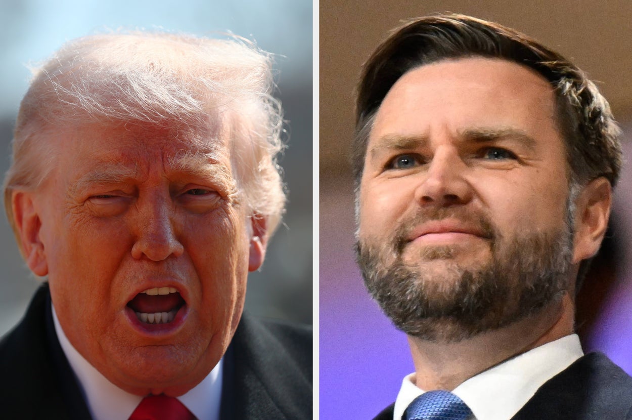 ドナルド・トランプ米大統領とJ・D・バンス副大統領 / Michael M. Santiago / Alexander Nemenov / Getty Images