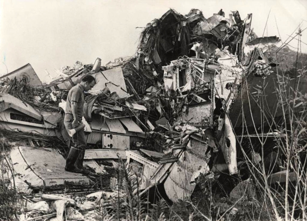 A idiosyncratic   stands examining a ample  heap  of craft  wreckage successful  a earthy  setting, surrounded by vegetation