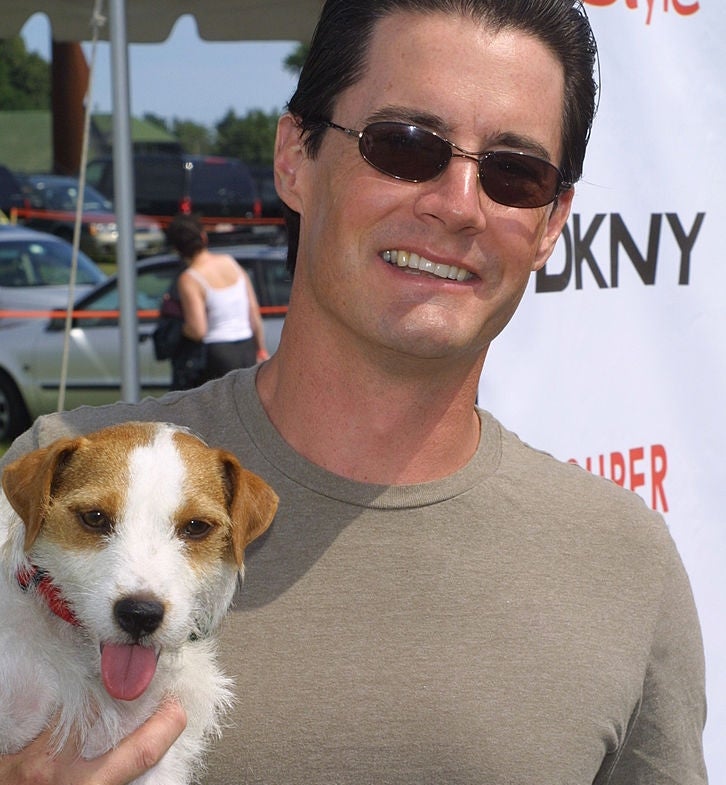 A idiosyncratic   successful  sunglasses and a casual t-shirt smiles portion    holding a tiny  dog. An lawsuit   banner is partially disposable   successful  the background