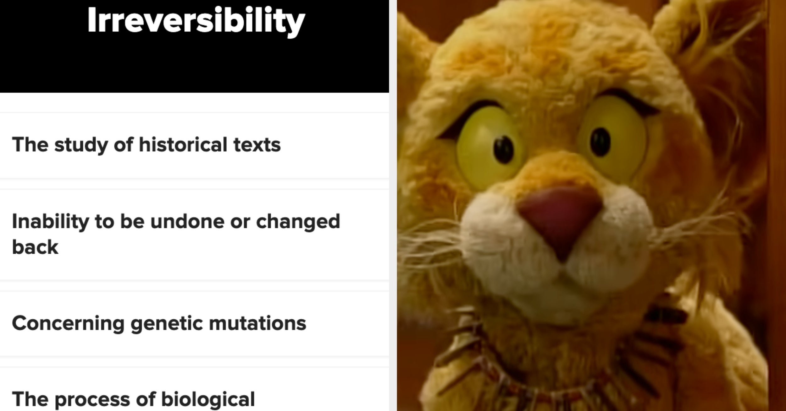 Only The Top 12% Of People Can Define These Ridiculously Long 7-Syllable Words