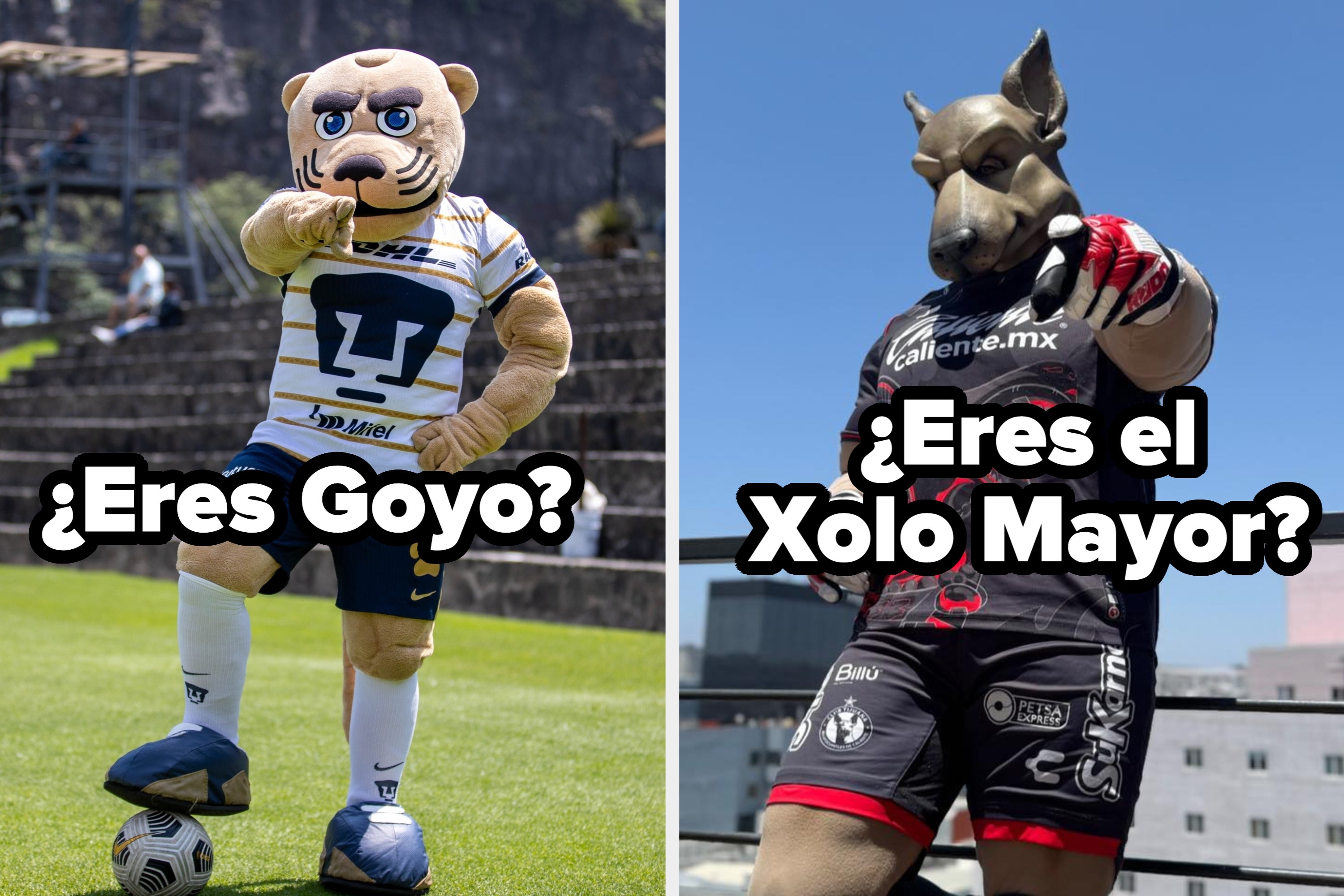 Mascota de fútbol con un disfraz de puma posa en el campo, apoyando un pie sobre un balón. Lleva uniforme deportivo del equipo Pumas