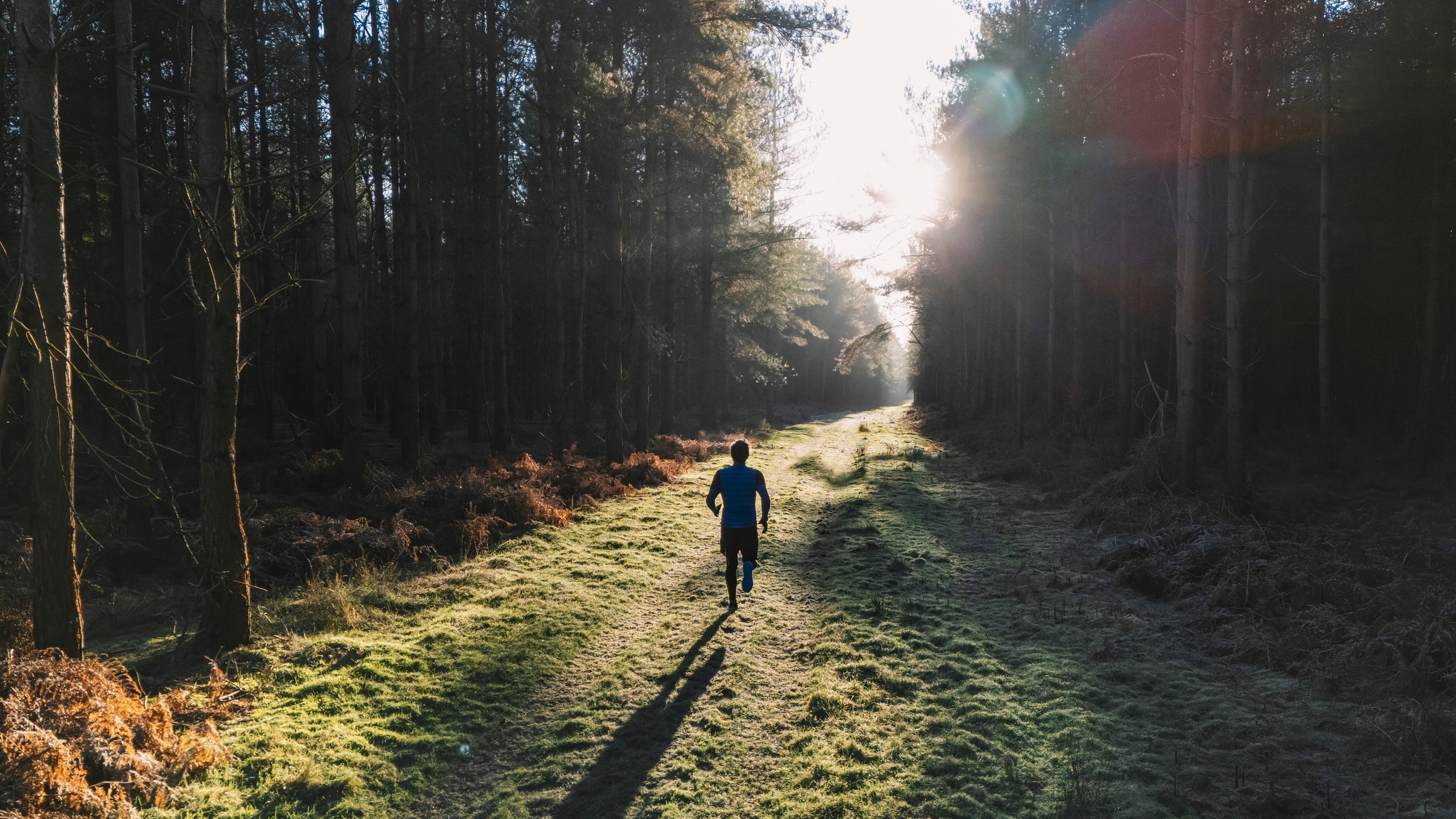Person walking connected a wood way with sunlight streaming done trees, creating a serene and tranquil atmosphere