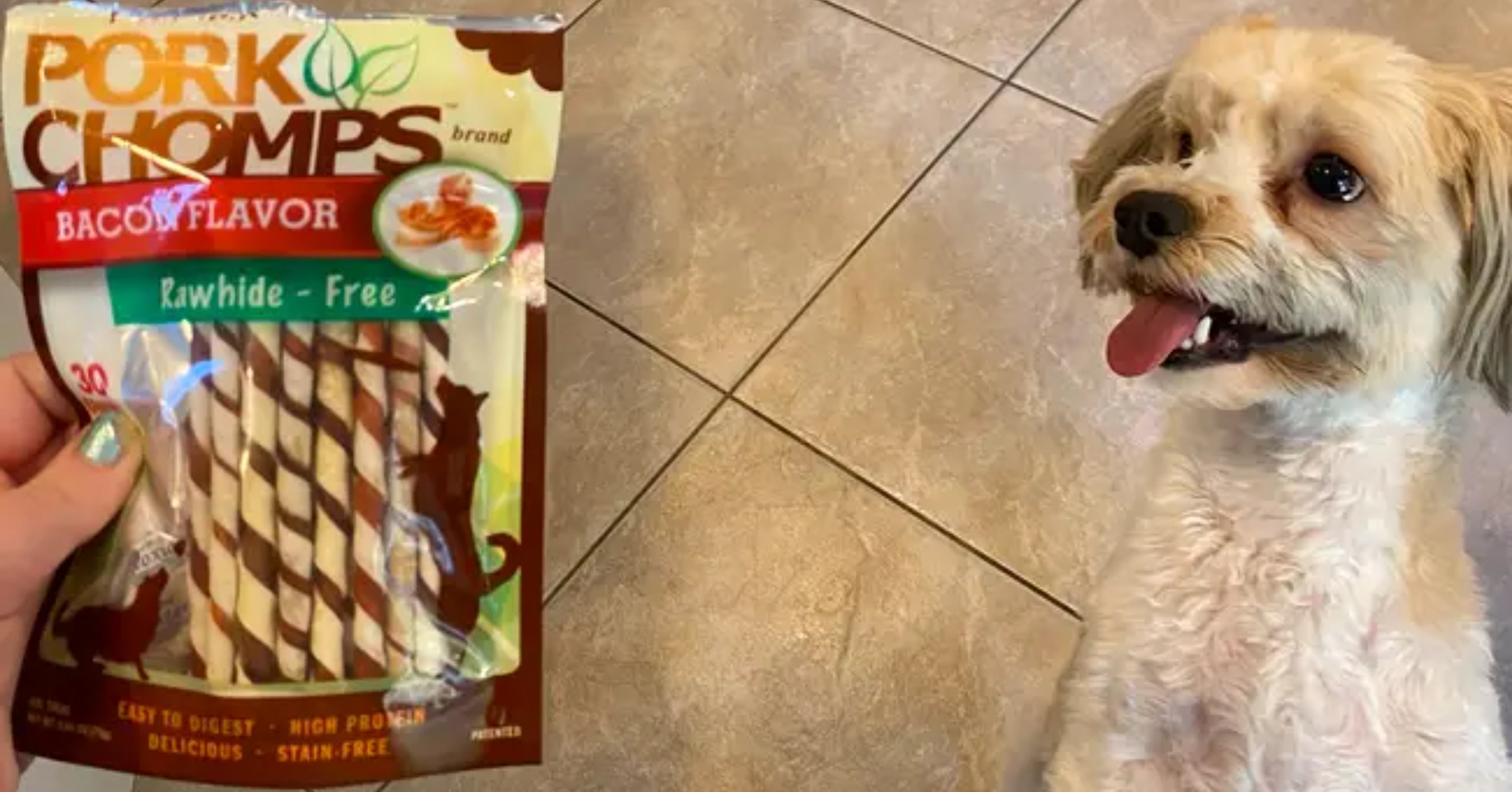 27 Affordable Products Every Dog Owner Should Know About, Because That Lil’ Floofy Monster Isn’t Cheap