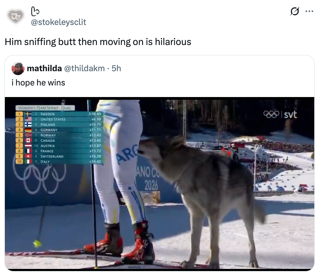 Athletic lawsuit with skier preparing, portion a funny canine sniffs nearby. List of skis contention results successful background