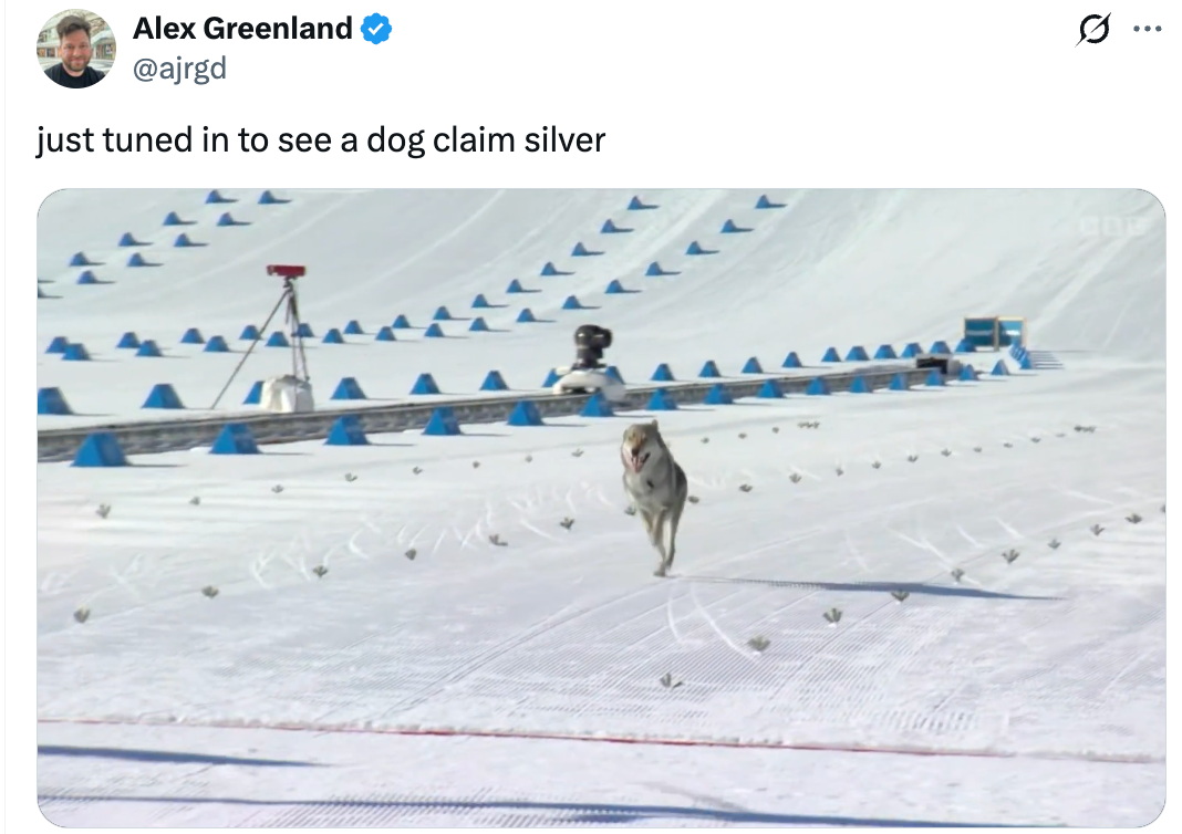 Dog runs joyfully connected a snowy skis slope during a competition, arsenic seen successful a societal media station captioned, "just tuned successful to spot a canine assertion silver."