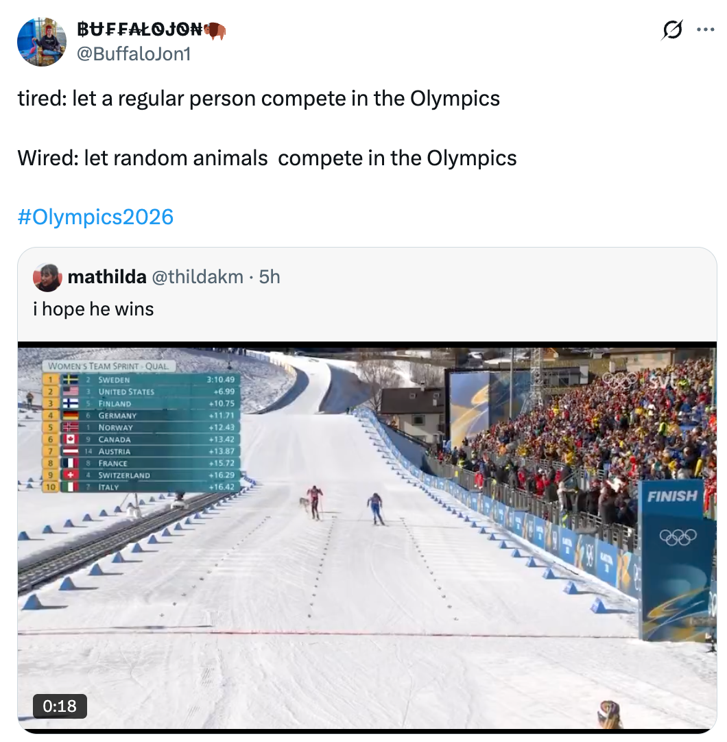 Screenshot of a tweet suggesting animals vie successful the Olympics, with a video showing a snowfall contention and a caption "i anticipation helium wins."