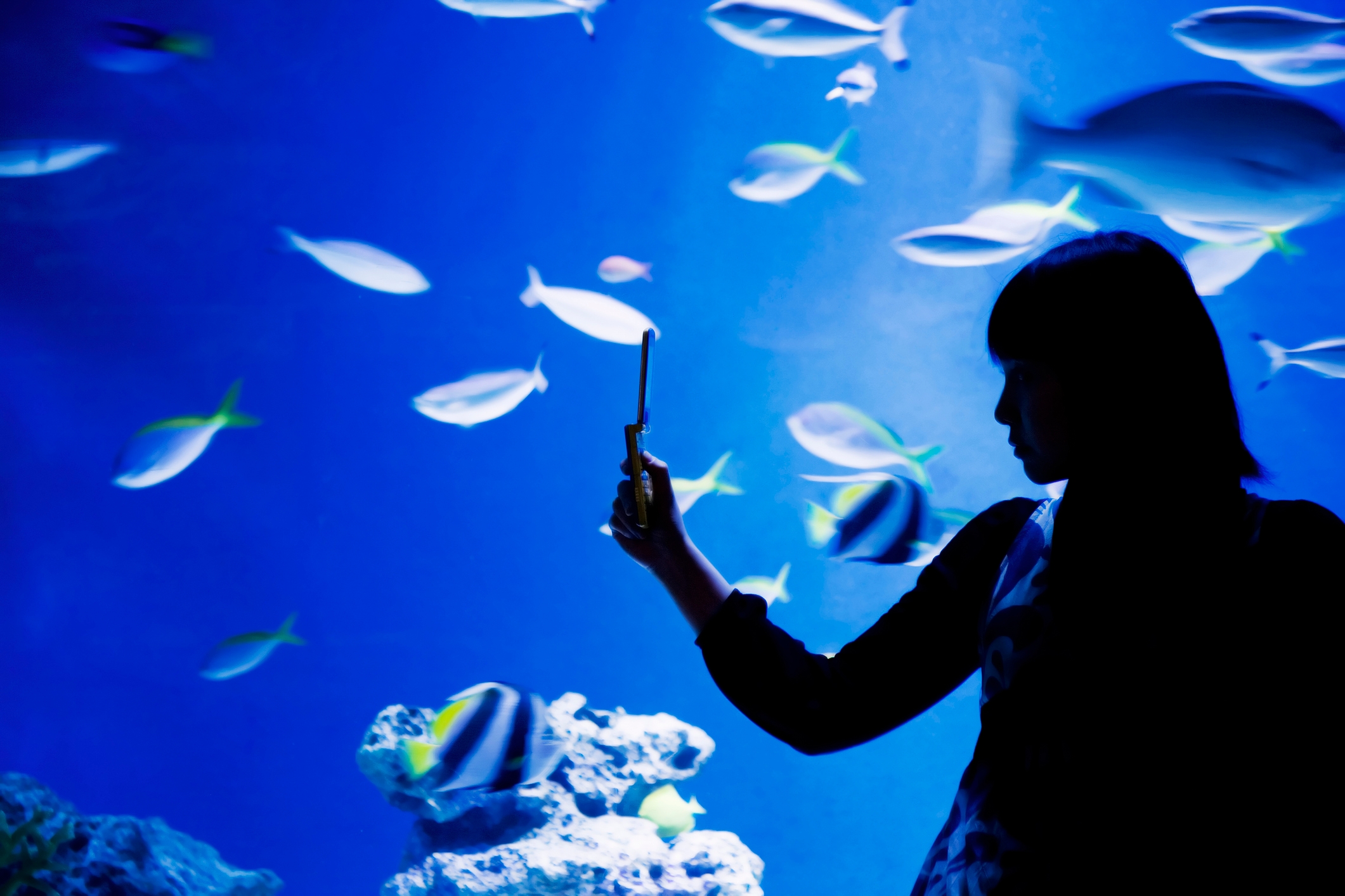 Womansilhouetted against an aquarium vessel  takes a photograph  with a flip phone