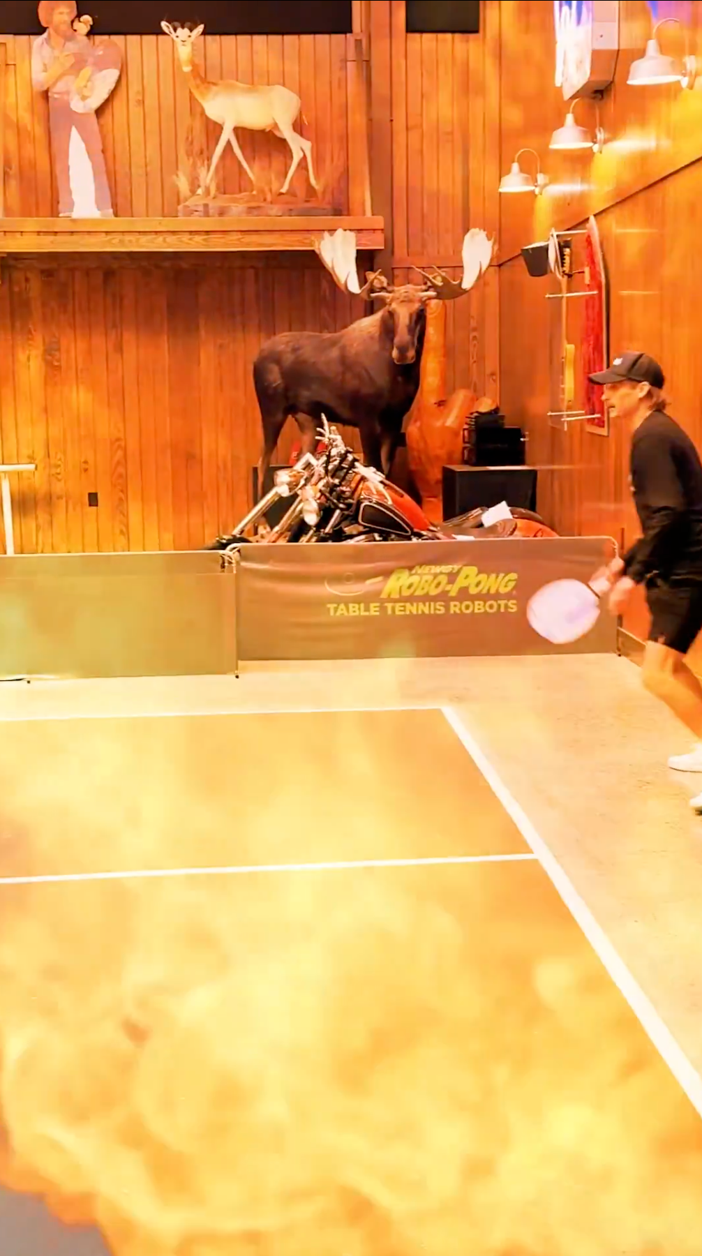 Person som spiller bordtennis i et trepanelrom med dyreinnredning