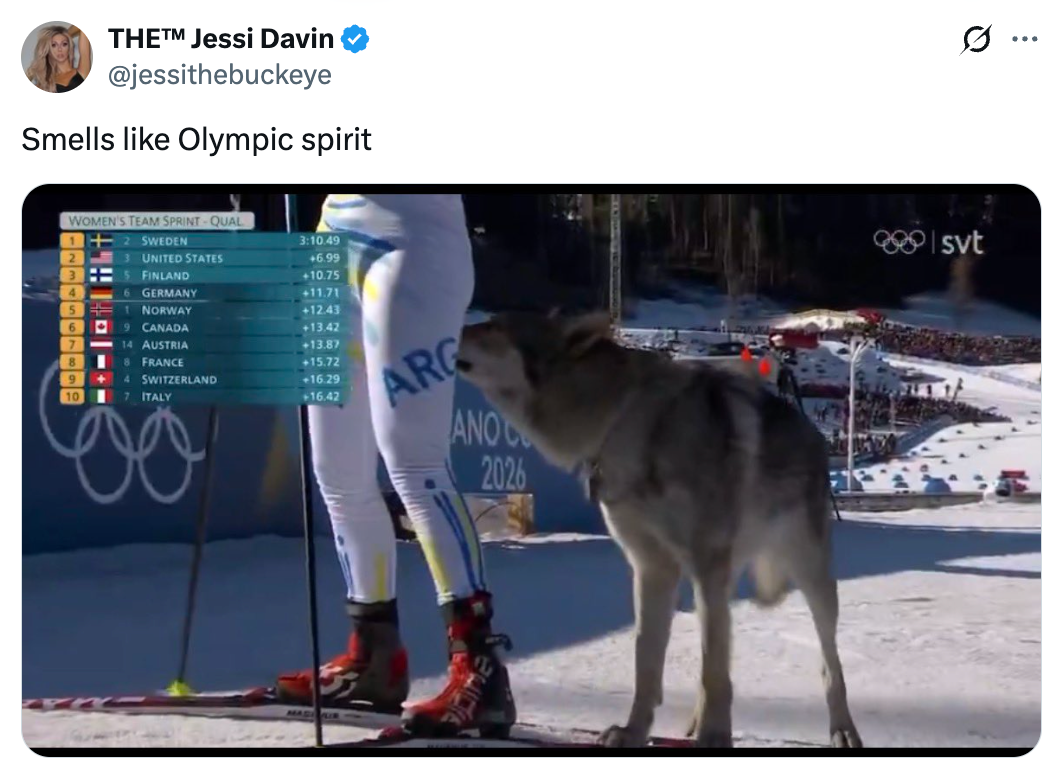 A skier stands beside a wolf-like canine during a snowy wintertime sports lawsuit with a scoreboard successful the background