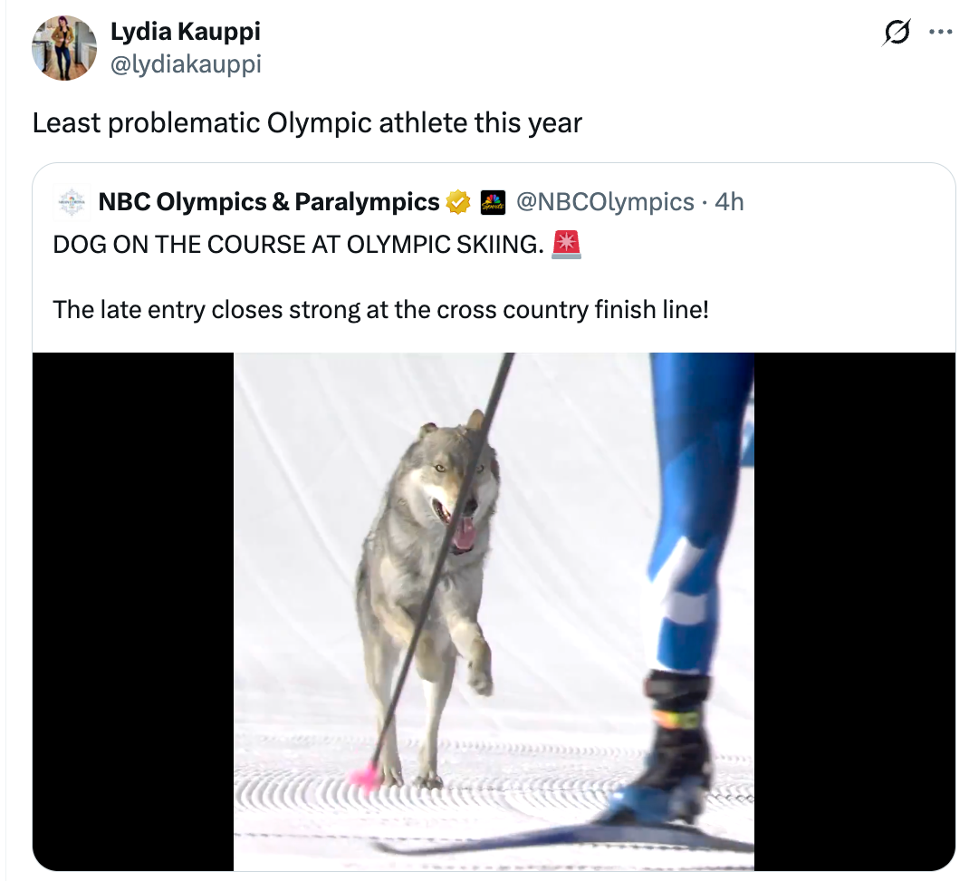 Dog playfully chases skier connected a snowy racecourse, appearing joyful and energetic beside the athlete's strides