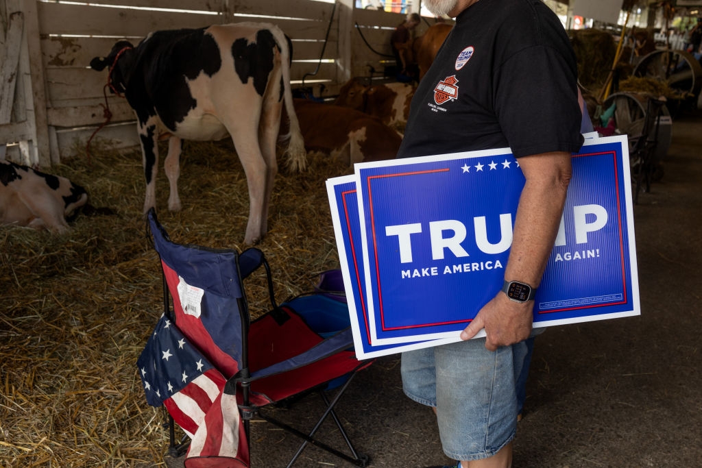 Man holding "Trump Make America Great Again!" signs adjacent   cows and an American emblem  seat  successful  a barn setting