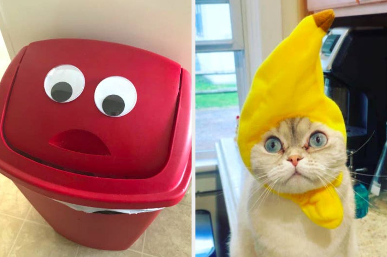 Just The Serotonin Boost I Needed: 26 Delightfully Weird Products For All My Fellow Weirdos