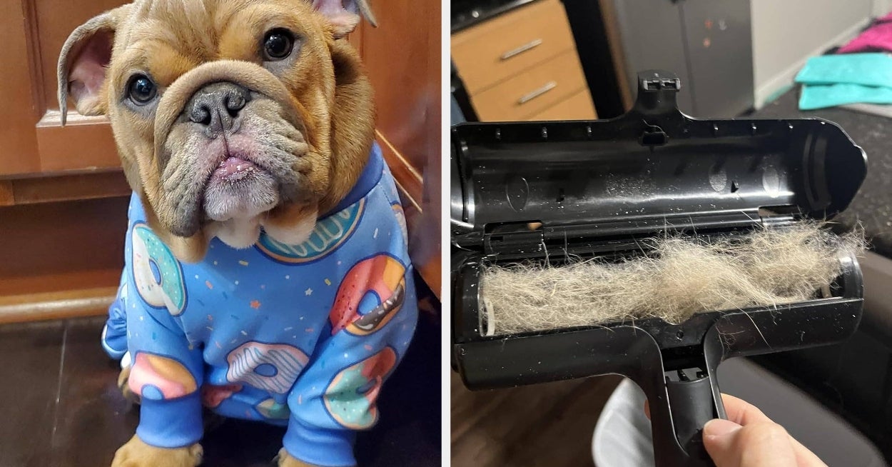 27 Things That Were Basically Designed With Velcro Pets In Mind