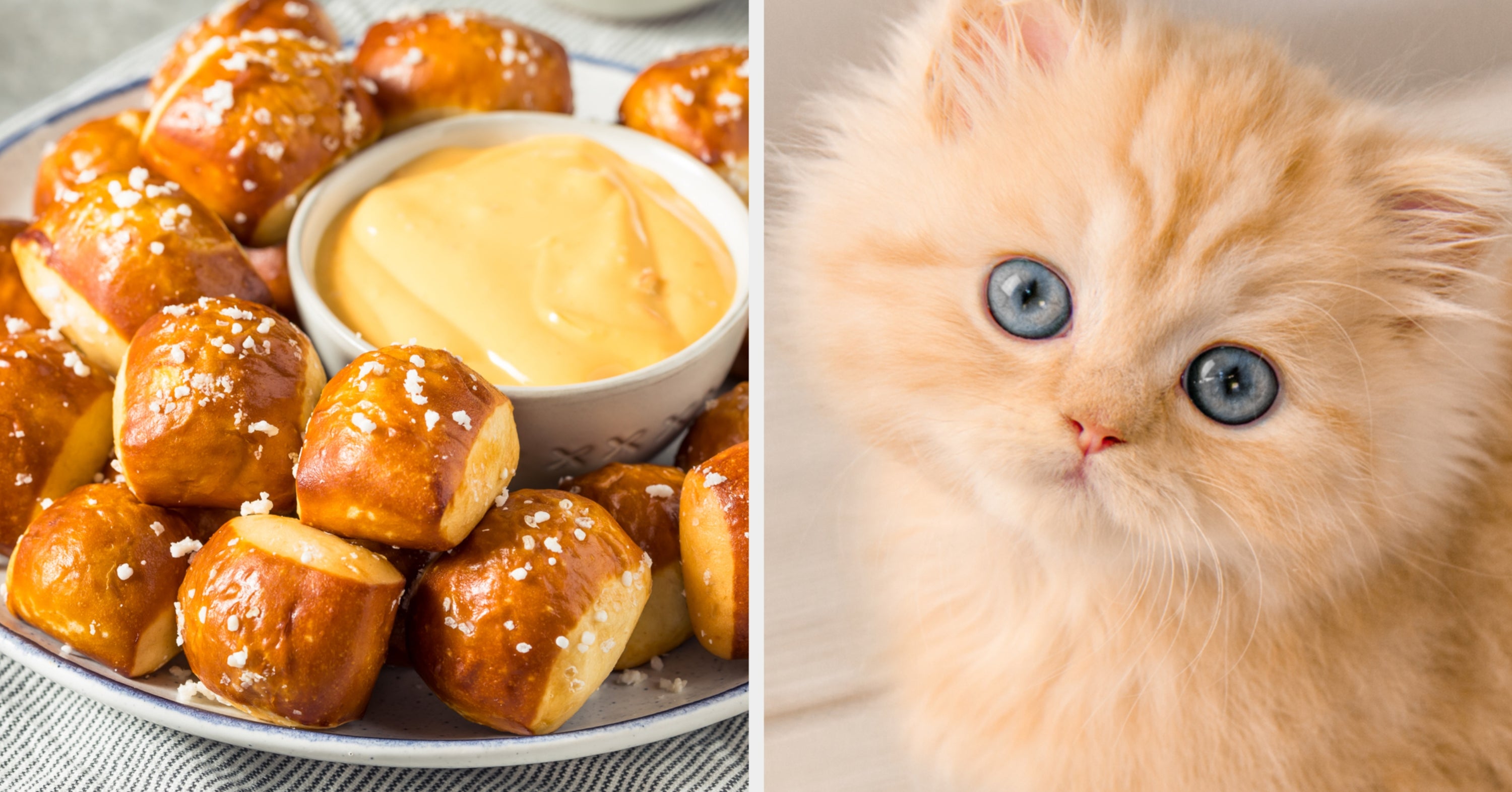 Eat Only Appetizers And We'll Reveal Your Animal Twin