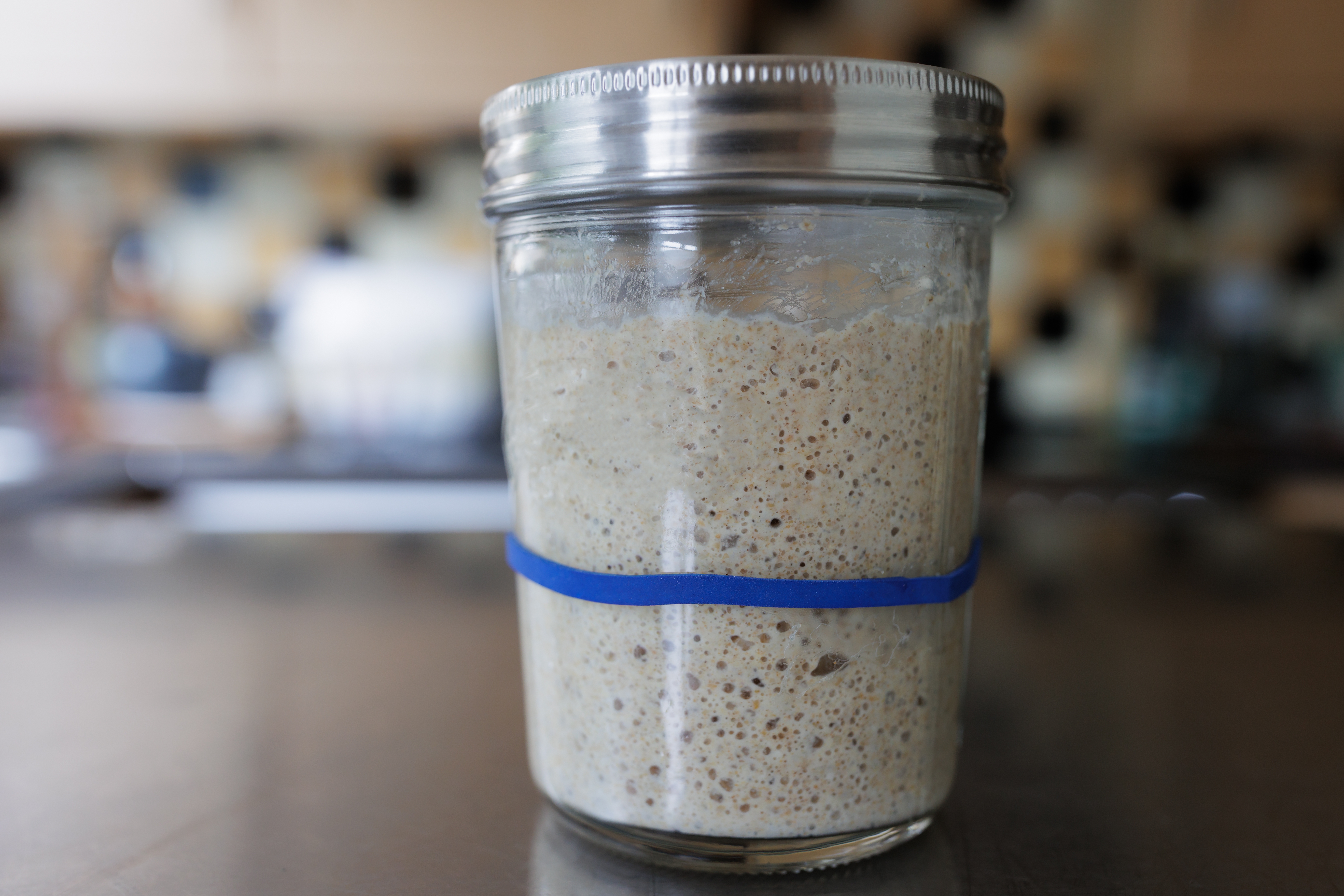 Jar of sourdough starter with a blue rubber band on a kitchen counter