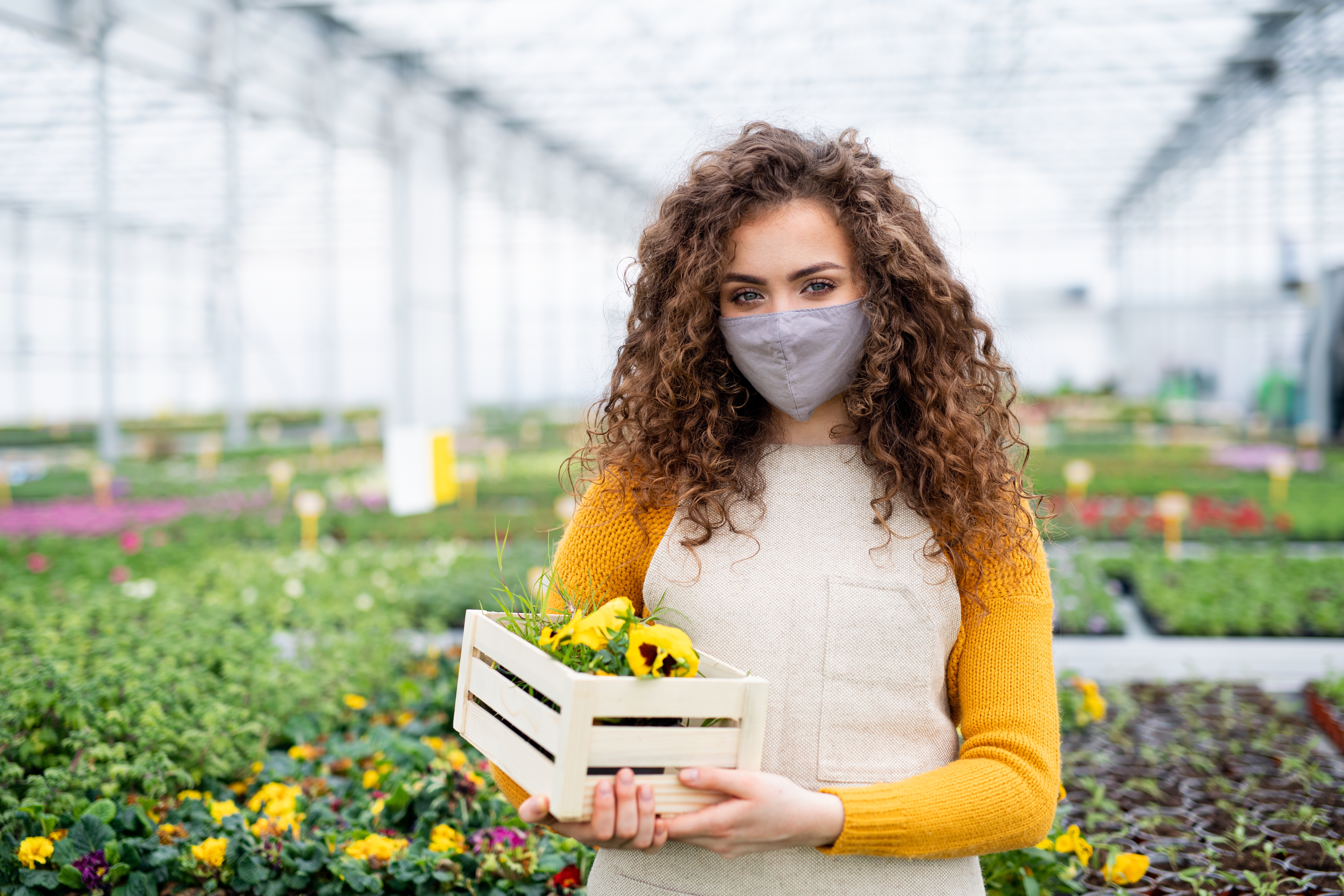 Person with curly hair holding a crate of flowers in a greenhouse, wearing a mask and a casual sweater over a dress