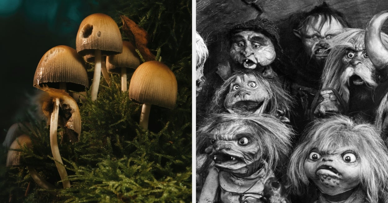 Since I Sense Some Goblin DNA Within You, Let's Find Your Ideal Goblin-Coded Hobby