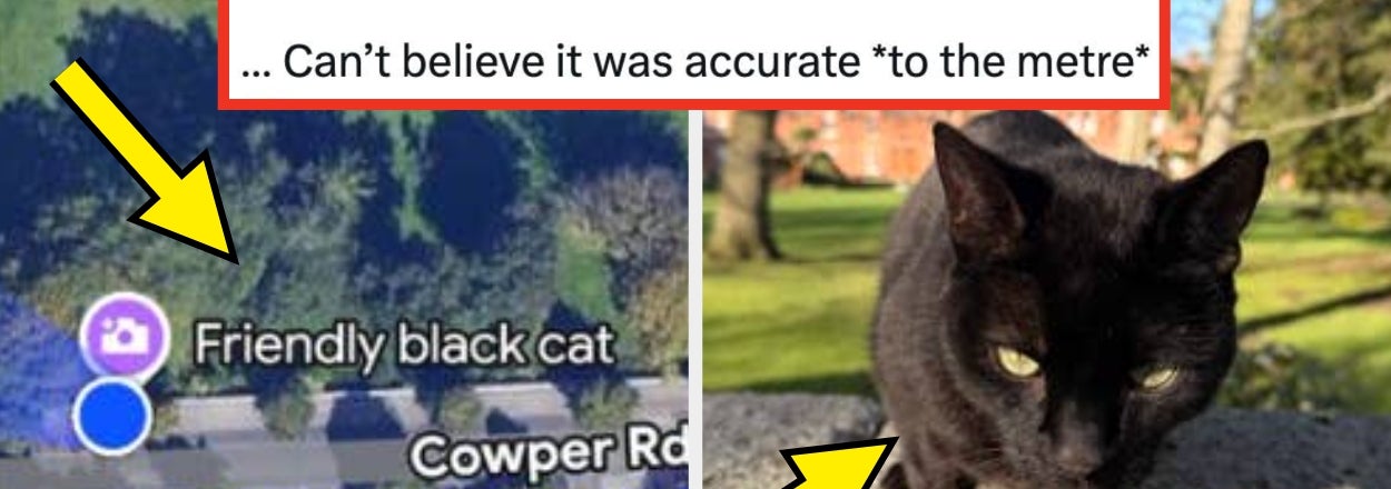 Just 18 Wholesome Posts From The Internet This Week That I Guarantee Will Improve Your Mood By 99.999%