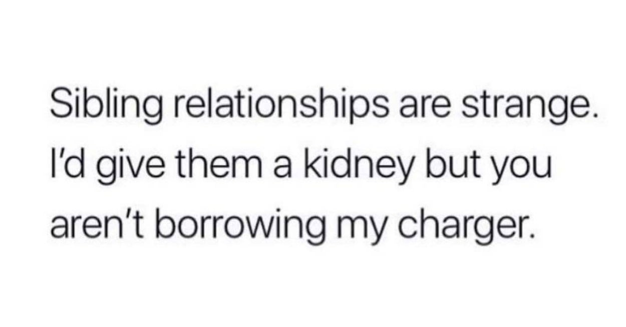 21 Jokes That Only People With A Sibling Will Understand