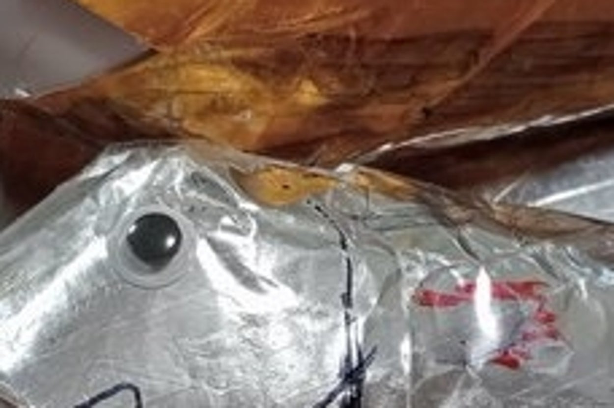 娘さんの工作「浮袋が飛び出た深海魚」／カニ軍艦太郎さんのX（@kanitokage）より