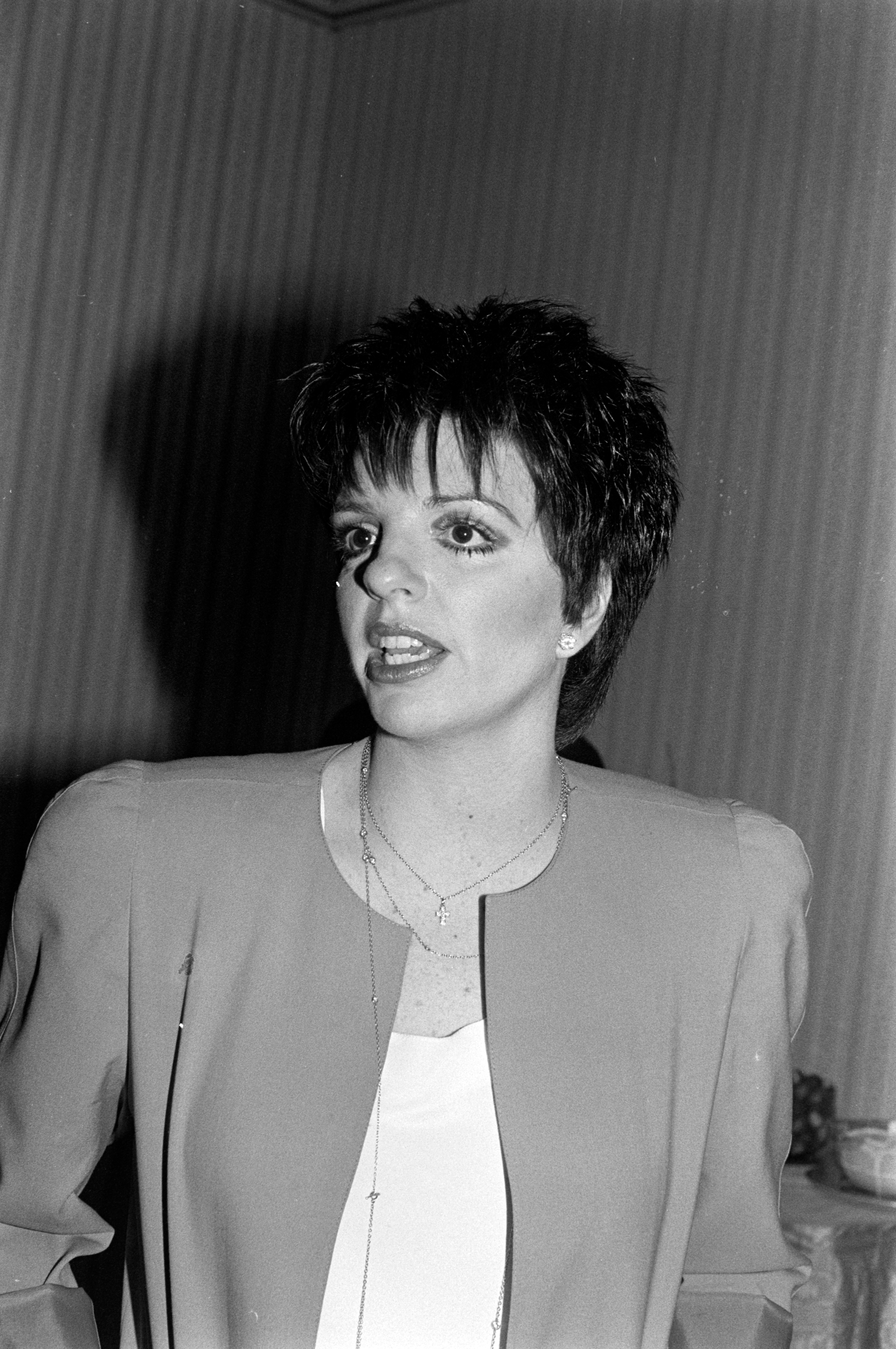 Liza Minnelli successful  elegant blazer with abbreviated  hair, speaking astatine  an event