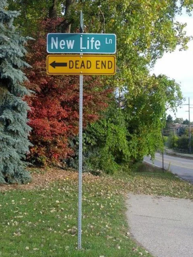 53 Hilarious Photos Of Signs