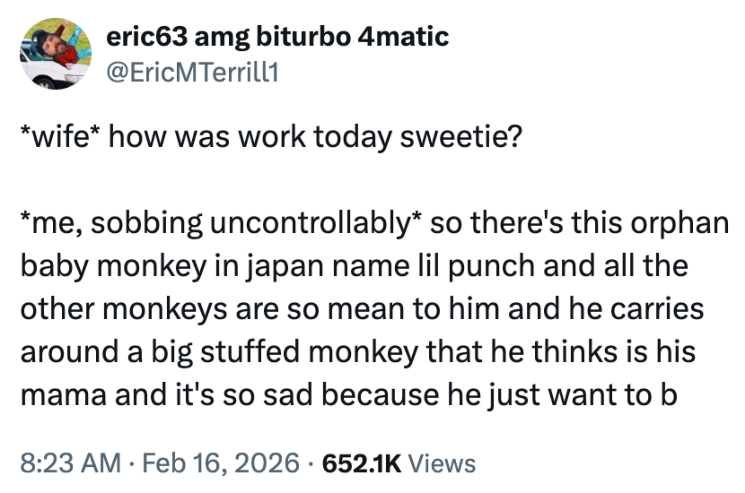 Tweet om en person som deler en historie om en baby ape ved navn Lil Punch som bærer en utstoppet leke som om det er moren hans, og fremkaller dyp tristhet