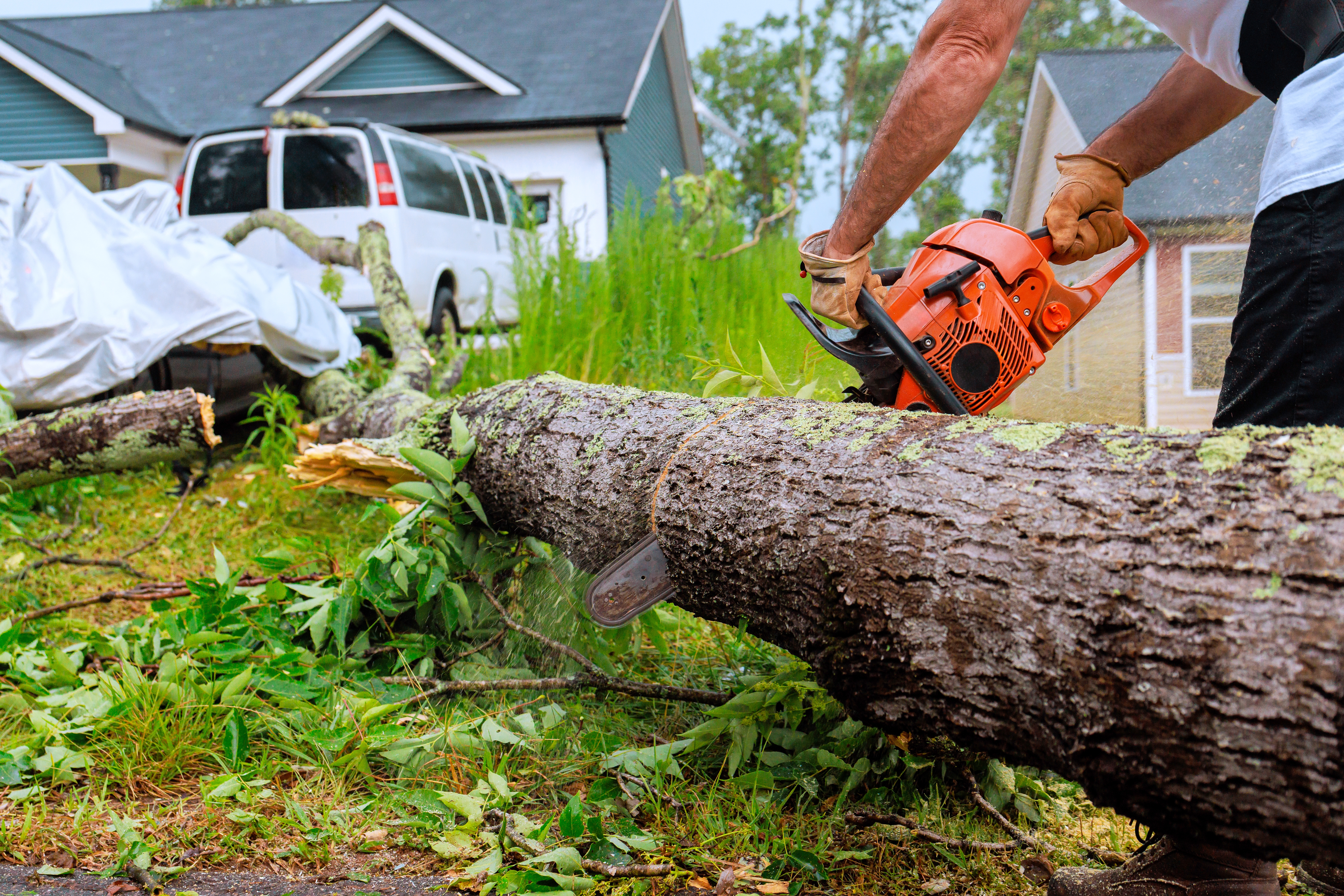Person utilizing a chainsaw to chopped a fallen histrion successful a residential yard, with an SUV and location disposable successful the background