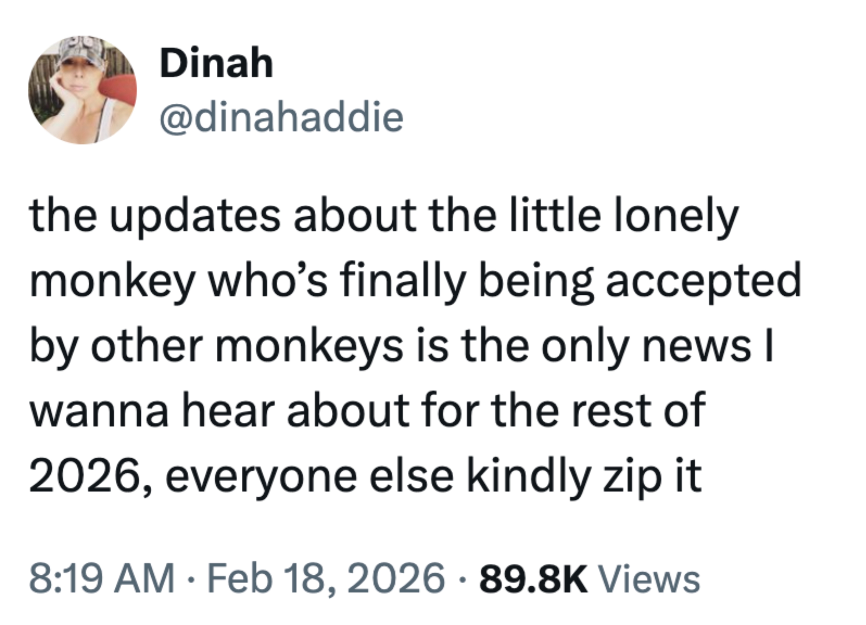 Tweet fra Dinah: Oppdateringer om en ensom ape som blir akseptert av andre er alt hun ønsker å høre for resten av 2026
