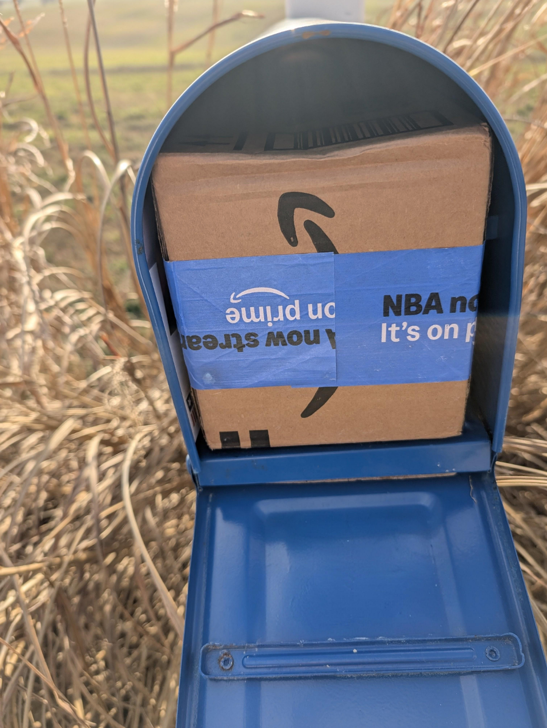 Cardboard package tightly fits inside a blue mailbox, with grass visible in the background