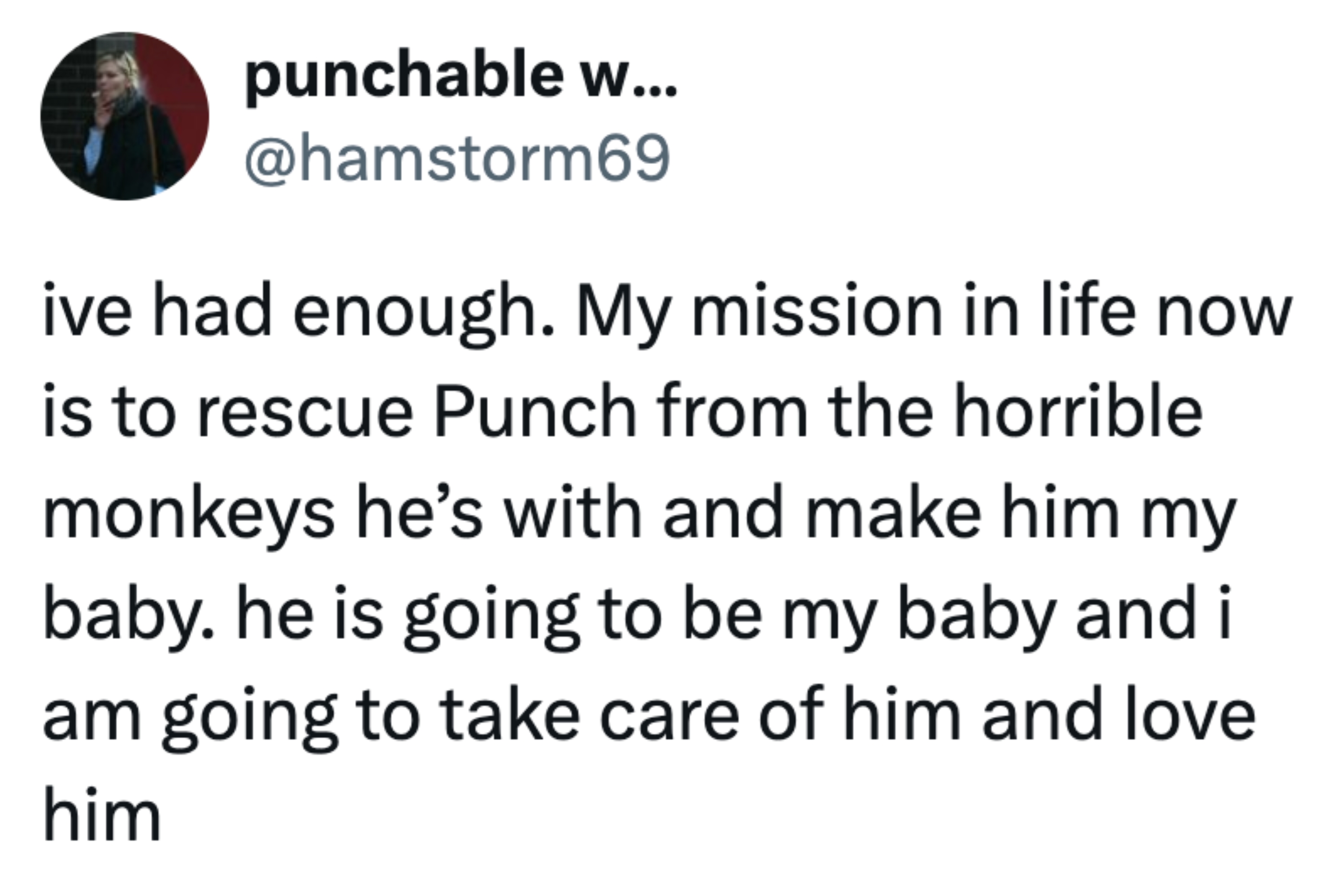 En tweet fra brukeren @hamstorm69 som uttrykker et ønske om å redde og ta vare på noen som heter Punch fra 