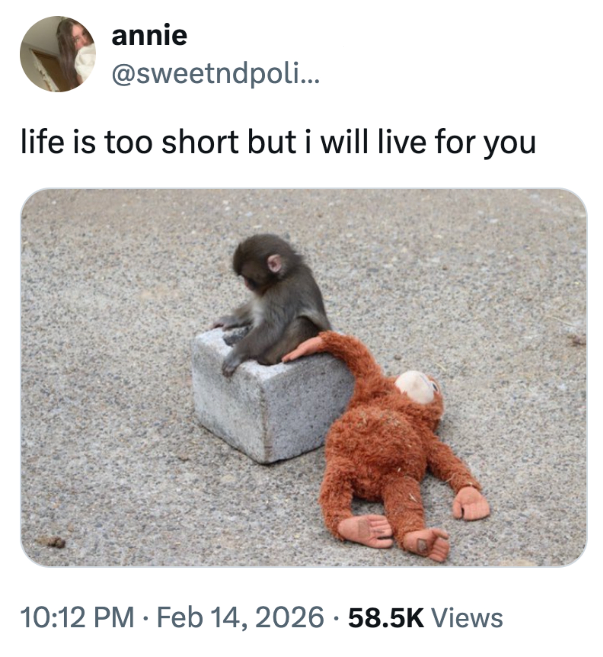 En babyape sitter på en blokk ved siden av en lekeape som ligger. Teksten ovenfor lyder: 