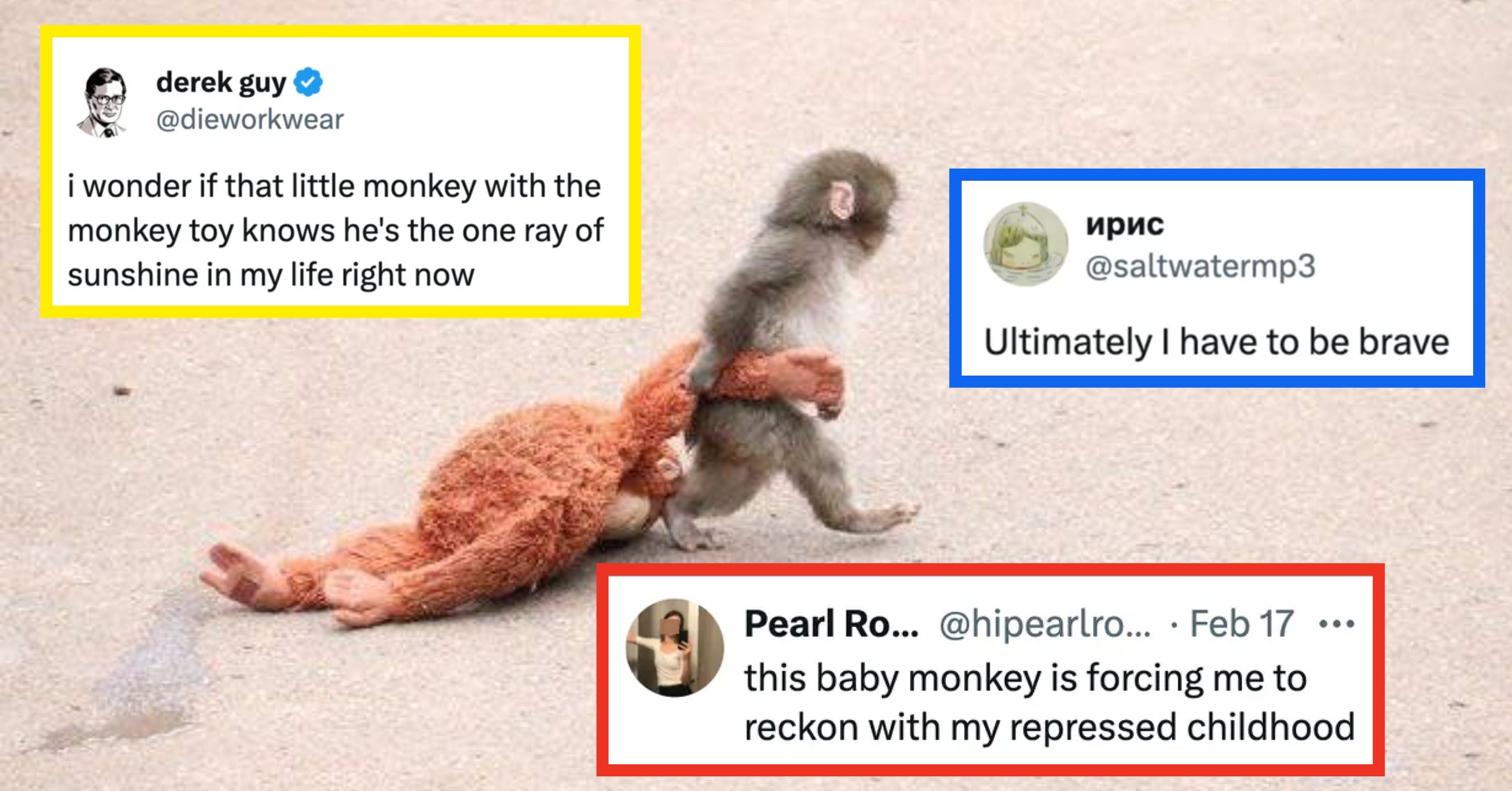 Everything You Need To Know About Punch, The Viral Lonely Baby Monkey From Japan, And Why Everyone Is In Love With Him