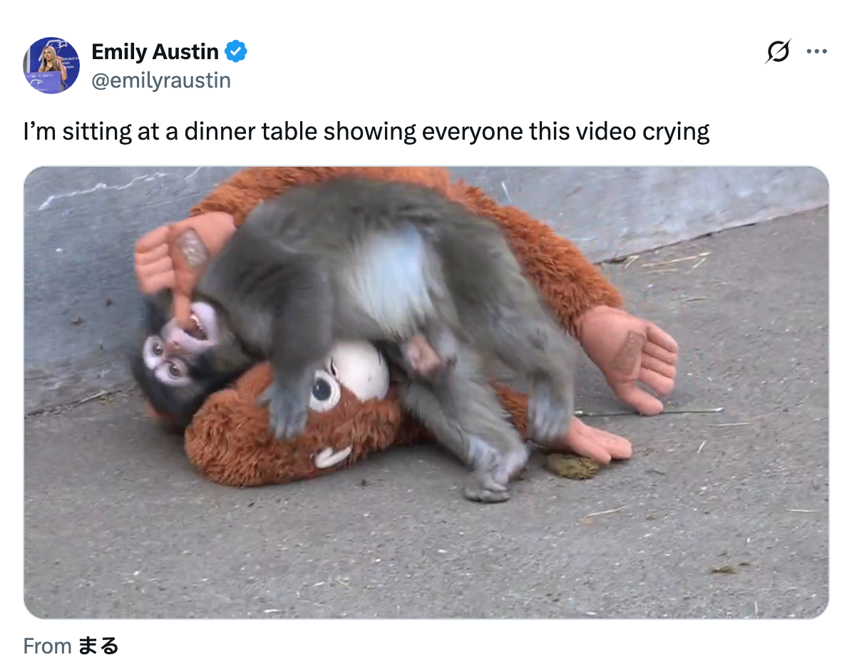En ape samhandler lekent med en plysj orangutang leke i utendørs omgivelser. Tweet av Emily Austin nevner å vise en gråtende video til middag