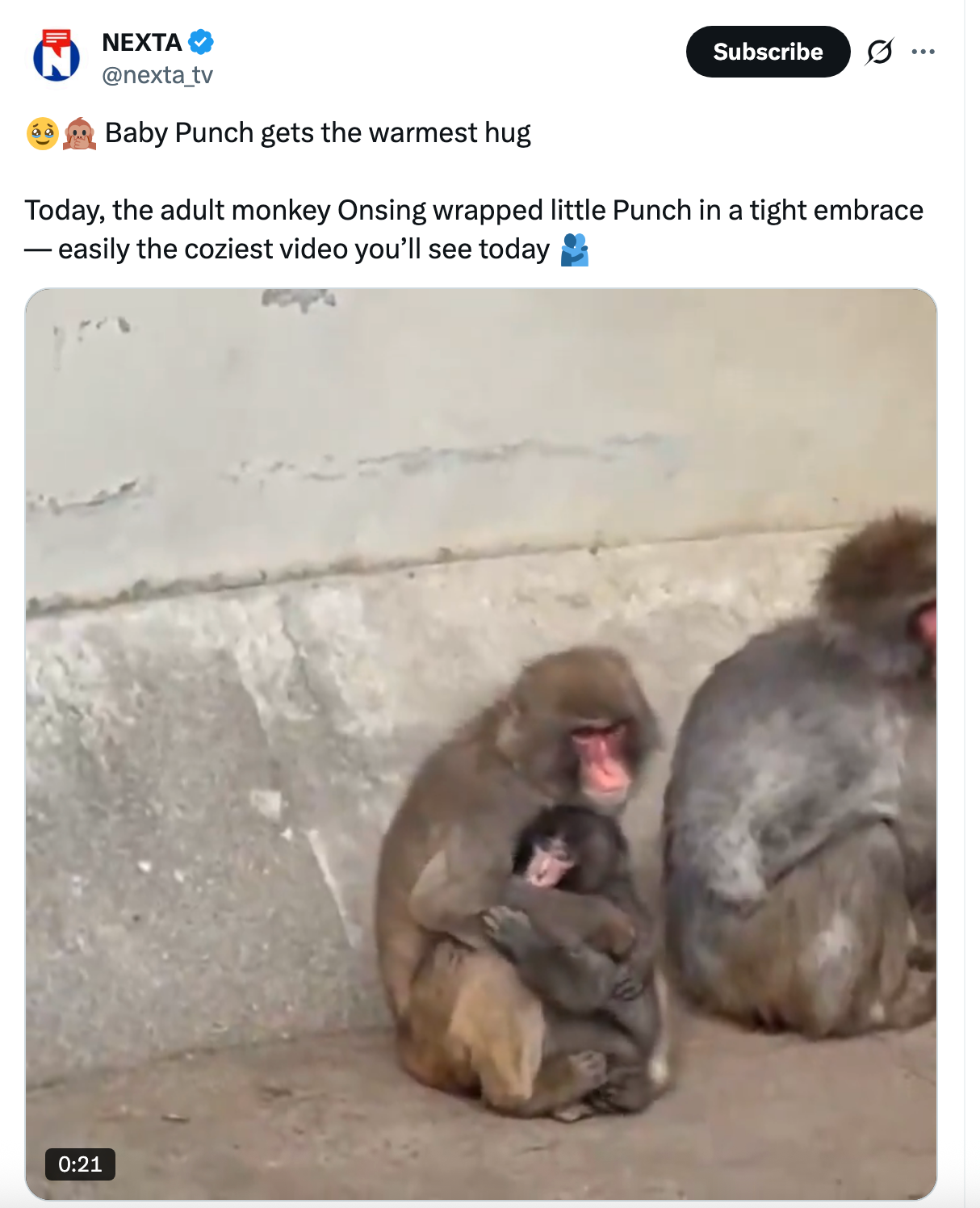 En apemor klemmer kjærlig apeungen sin mens hun sitter på bakken innendørs