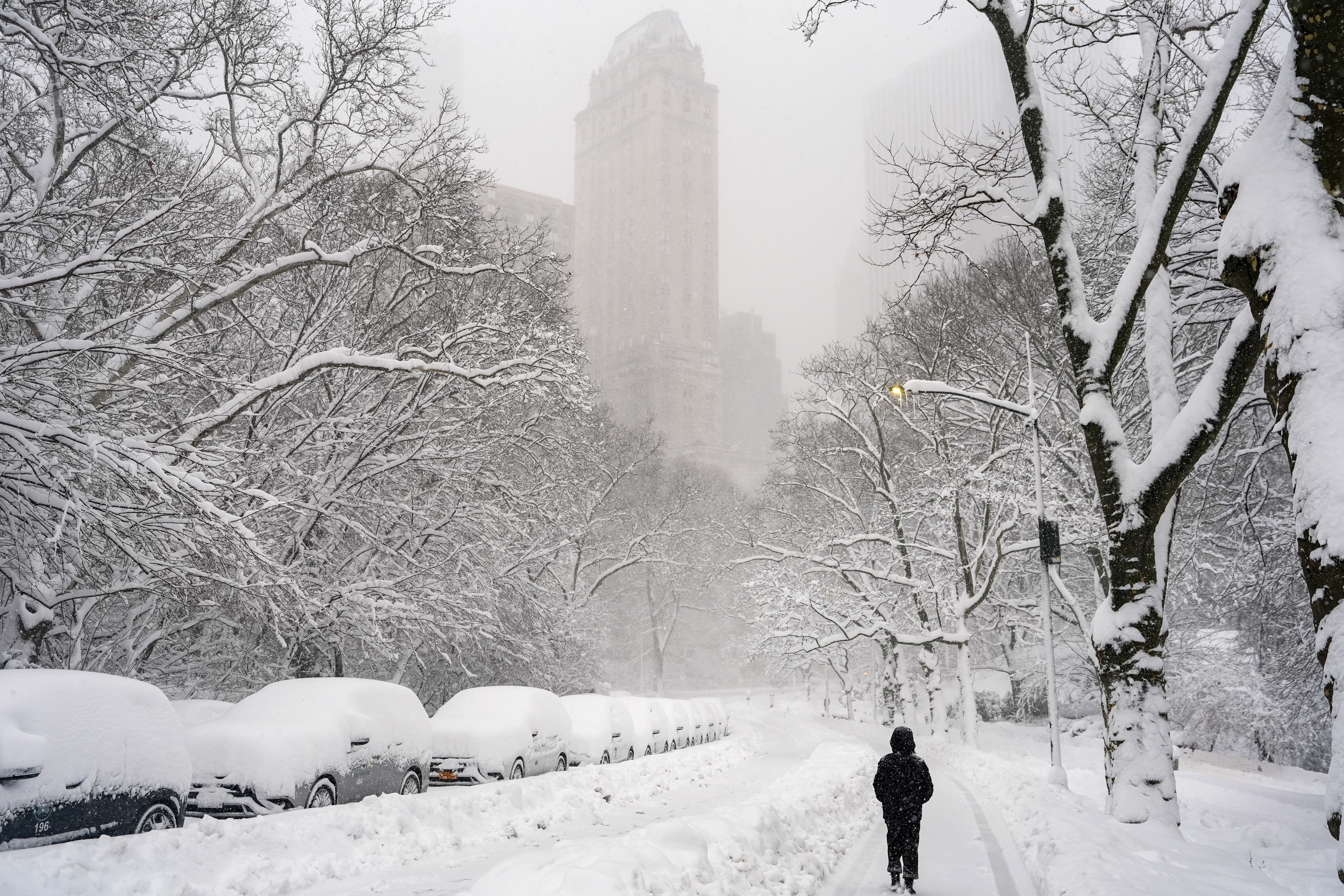 Person som går på en snødekt bygate, med parkerte biler og trær lastet med snø langs veien. Store bygninger ruver i bakgrunnen