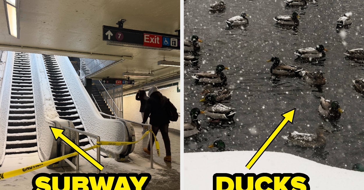 Here's What The Gigantic Northeastern Blizzard Looks Like Right Now